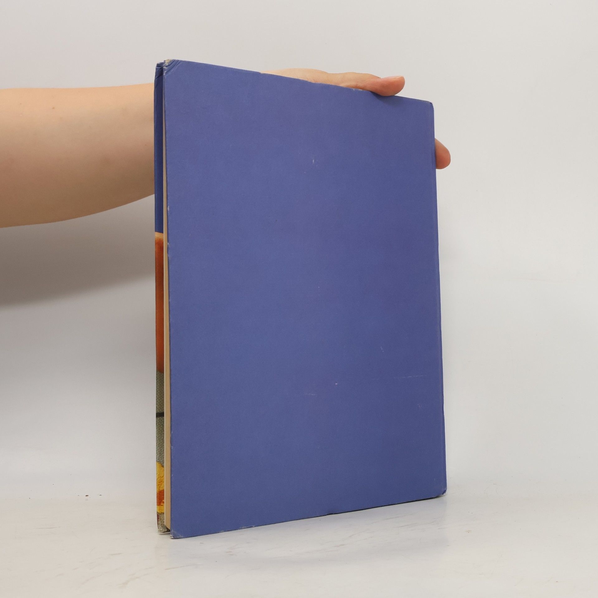 Hannelore Kopp Burda Stick-Lehrbuch