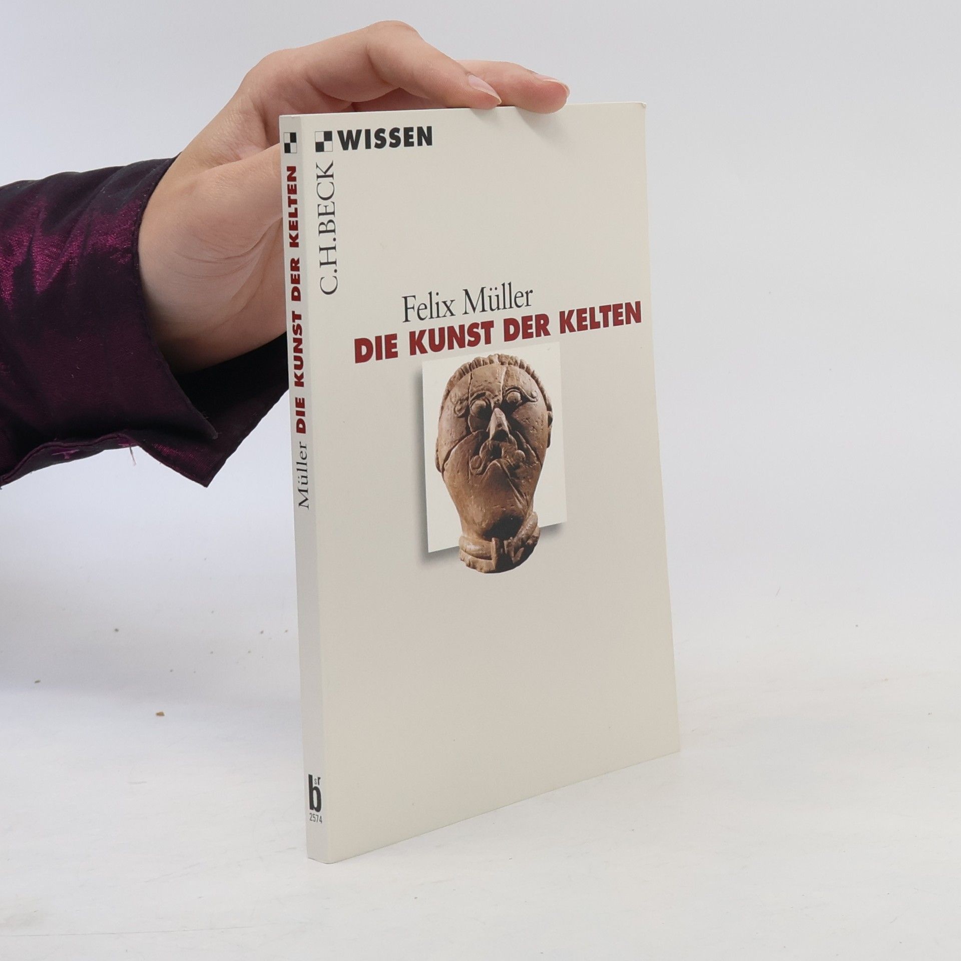 Felix Müller Die Kunst der Kelten