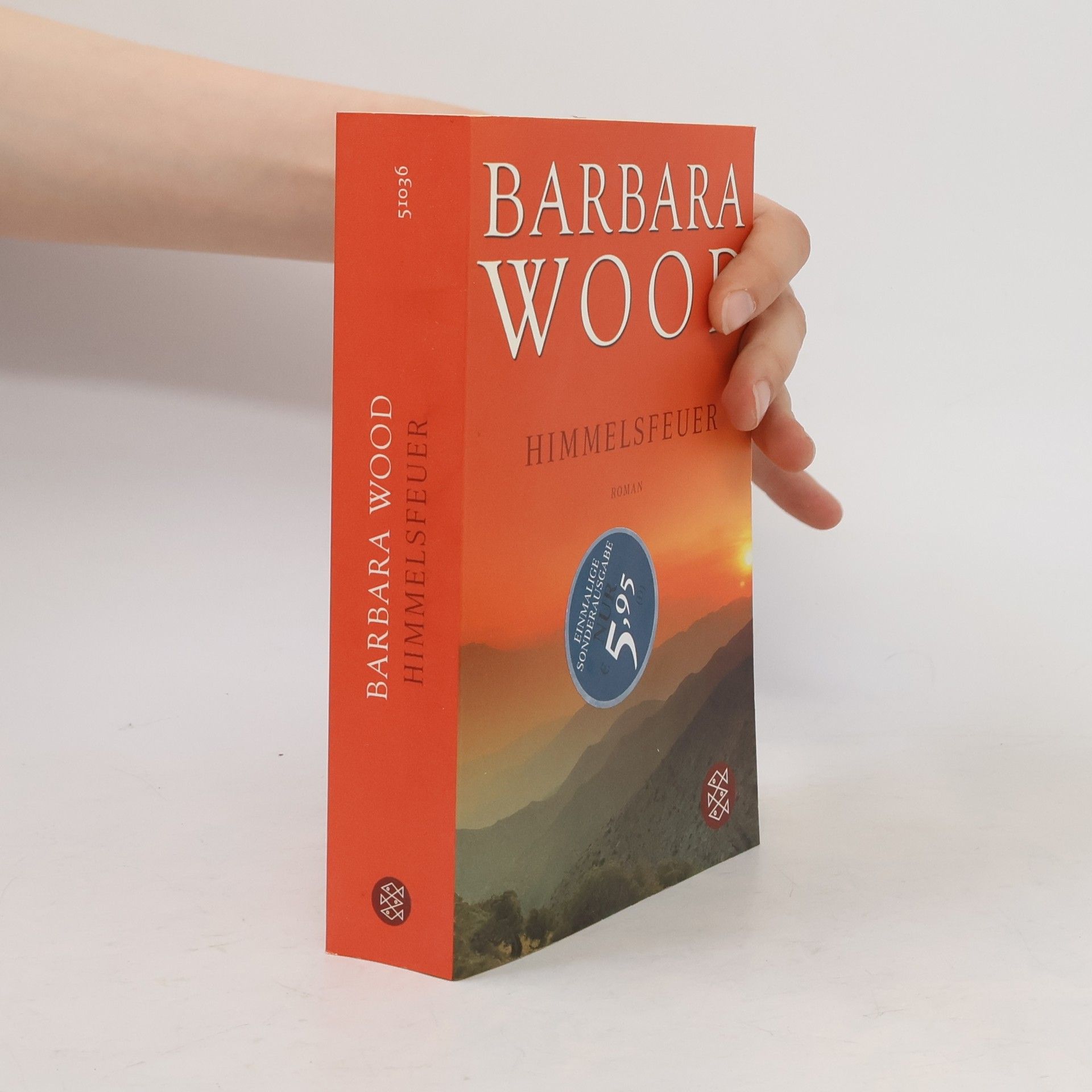Barbara Wood Himmelsfeuer