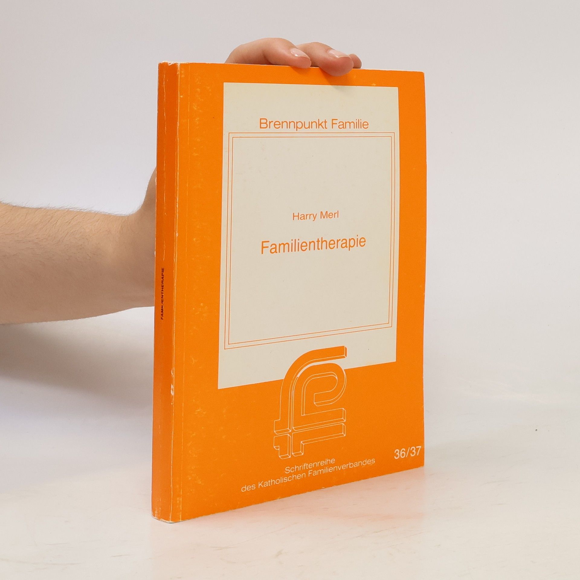 Harry Merl Brennpunkt Familie - 36/37: Familientherapie