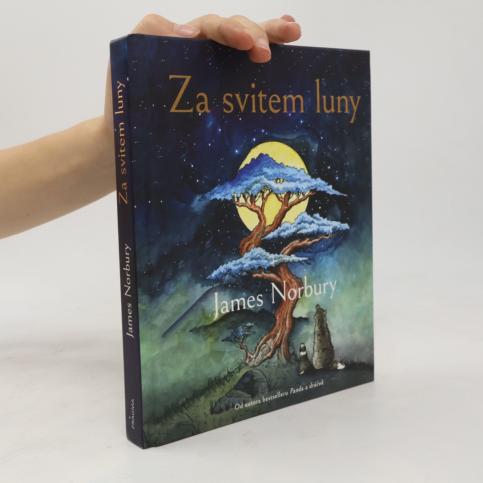 James Norbury Za svitem luny