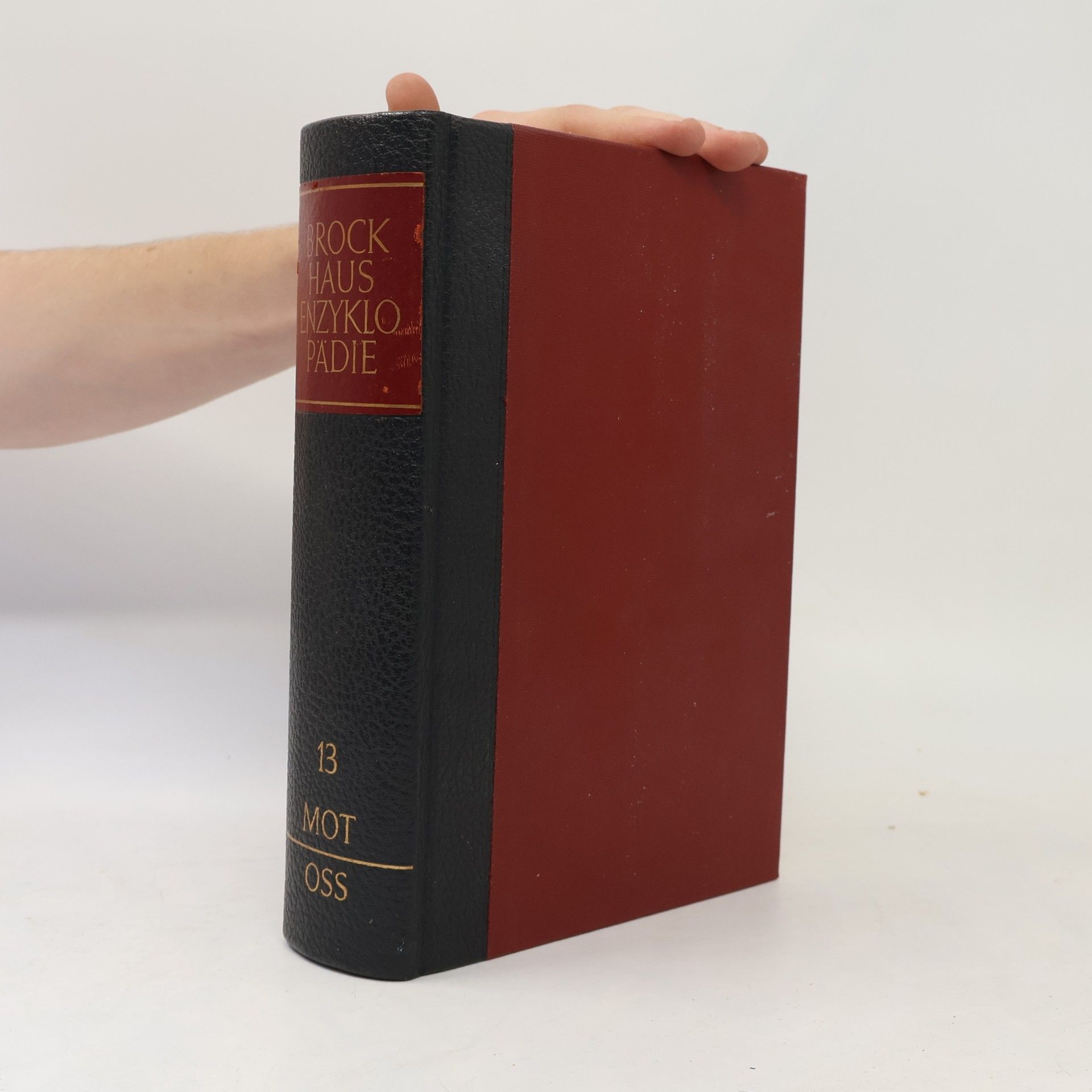 Autores varios Brockhaus-Enzyklopädie 13