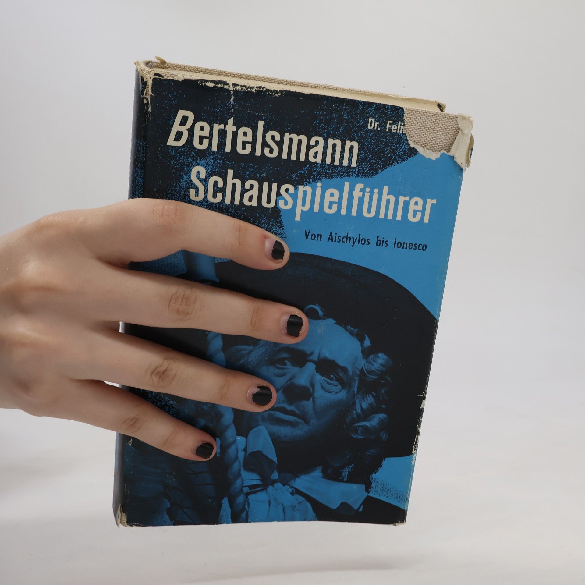 Kolektív autorov Bertelsmann Schauspielführer