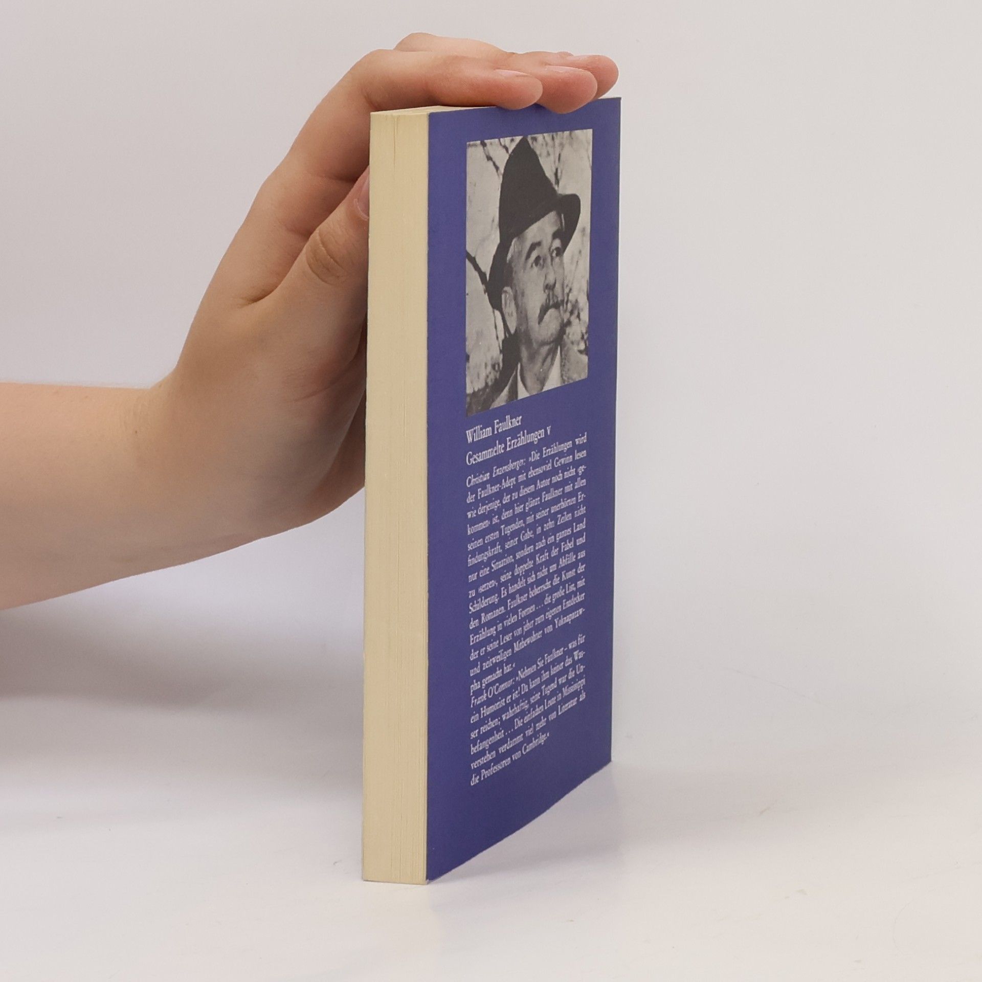 William Faulkner Gesammelte Erzählungen V