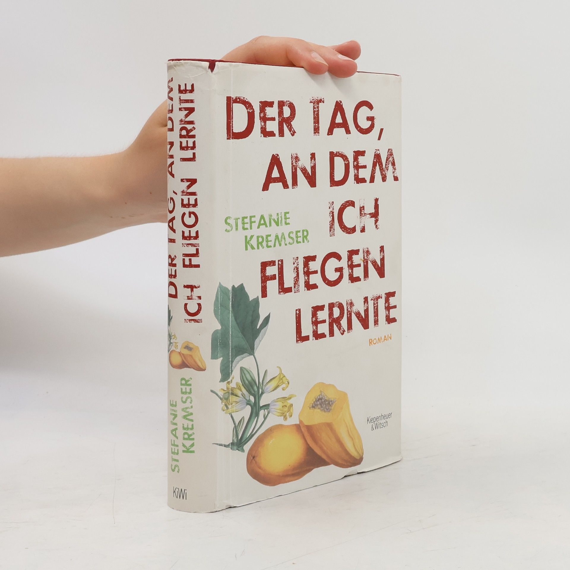 Stefanie Kremser Der Tag, an dem ich fliegen lernte
