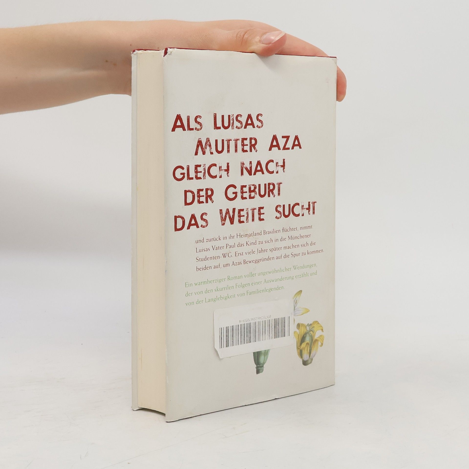 Stefanie Kremser Der Tag, an dem ich fliegen lernte