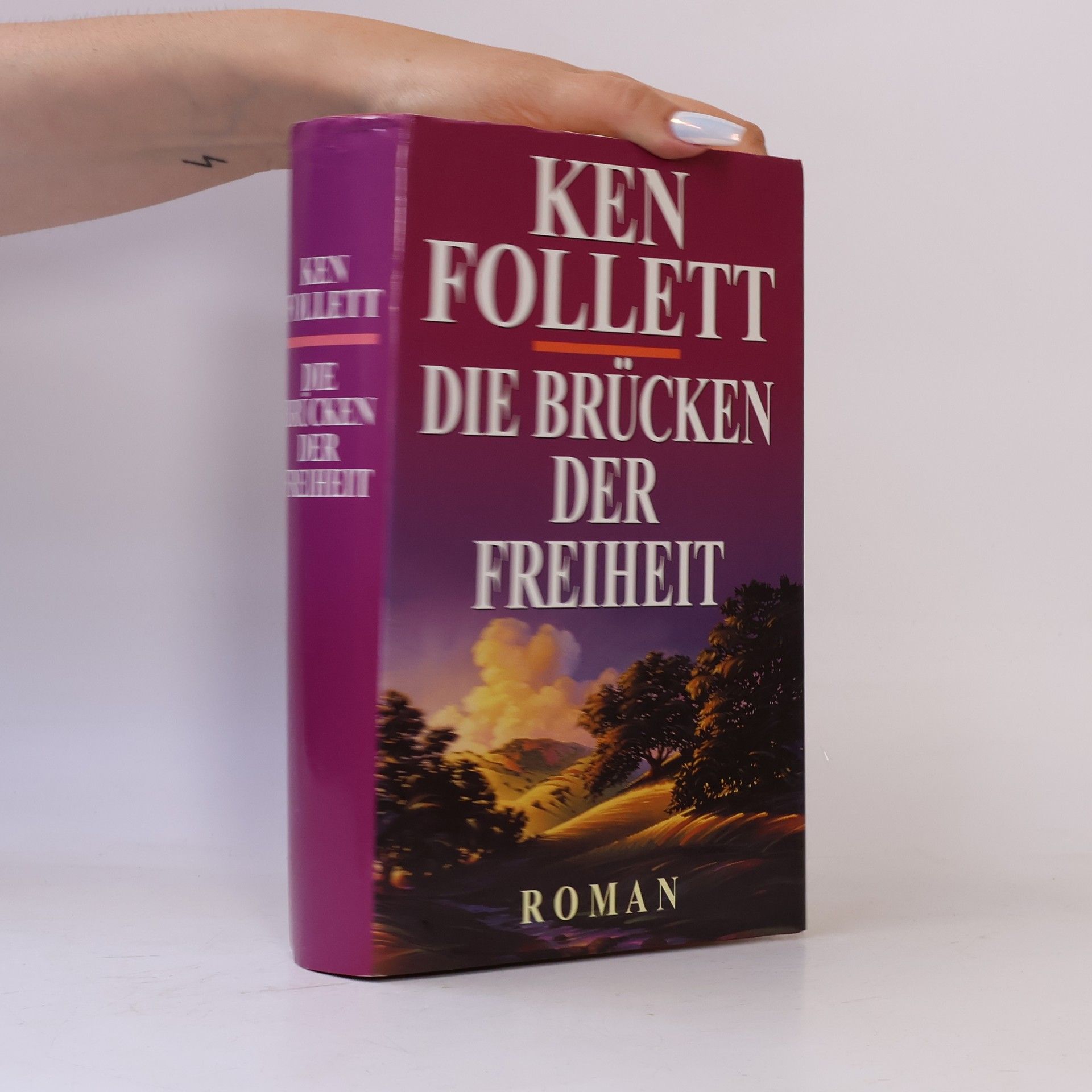 Ken Follett Die Brücken der Freiheit