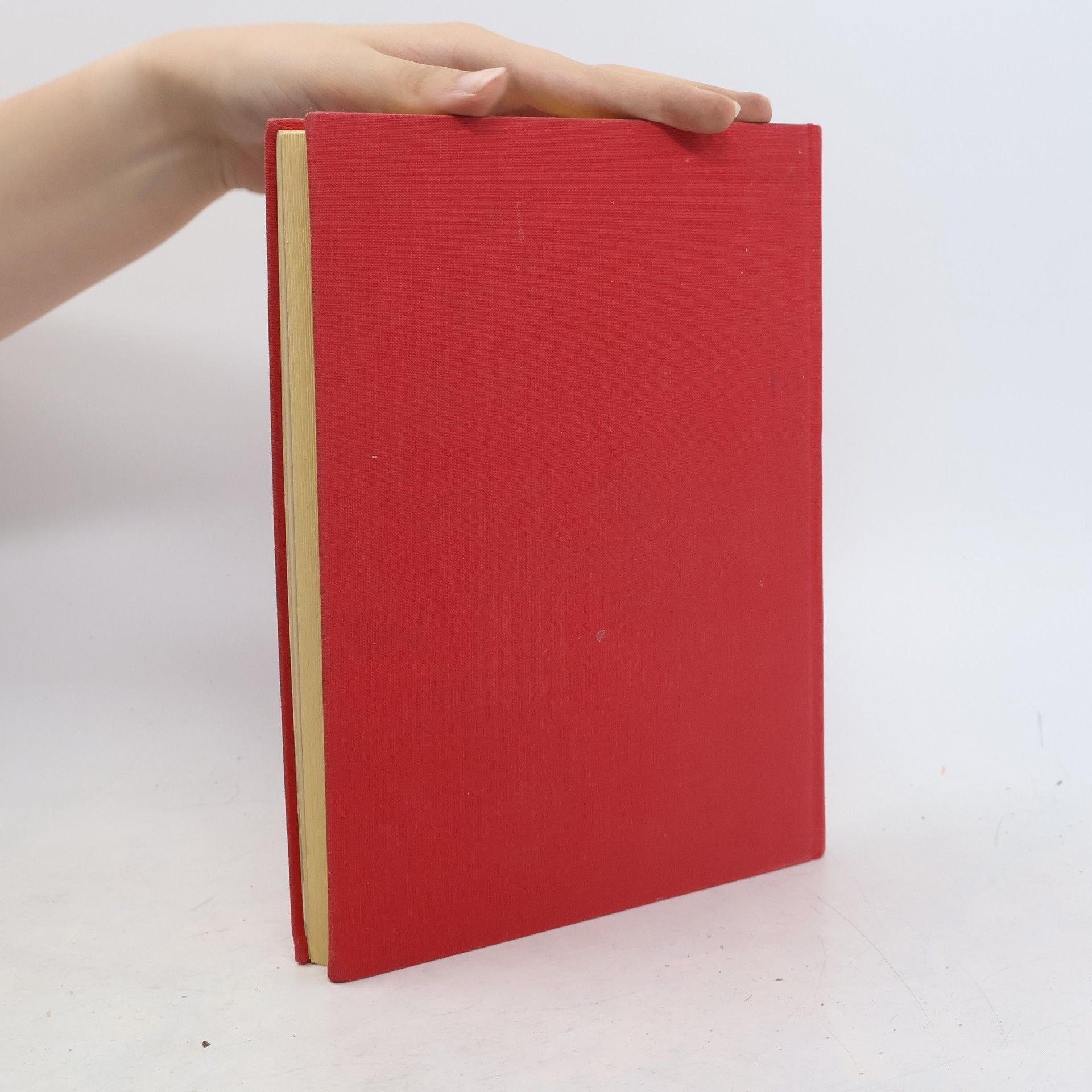 Agostino Ghilardi Goldenes Buch Papst Pius XII und der Kirche im Anno Santo