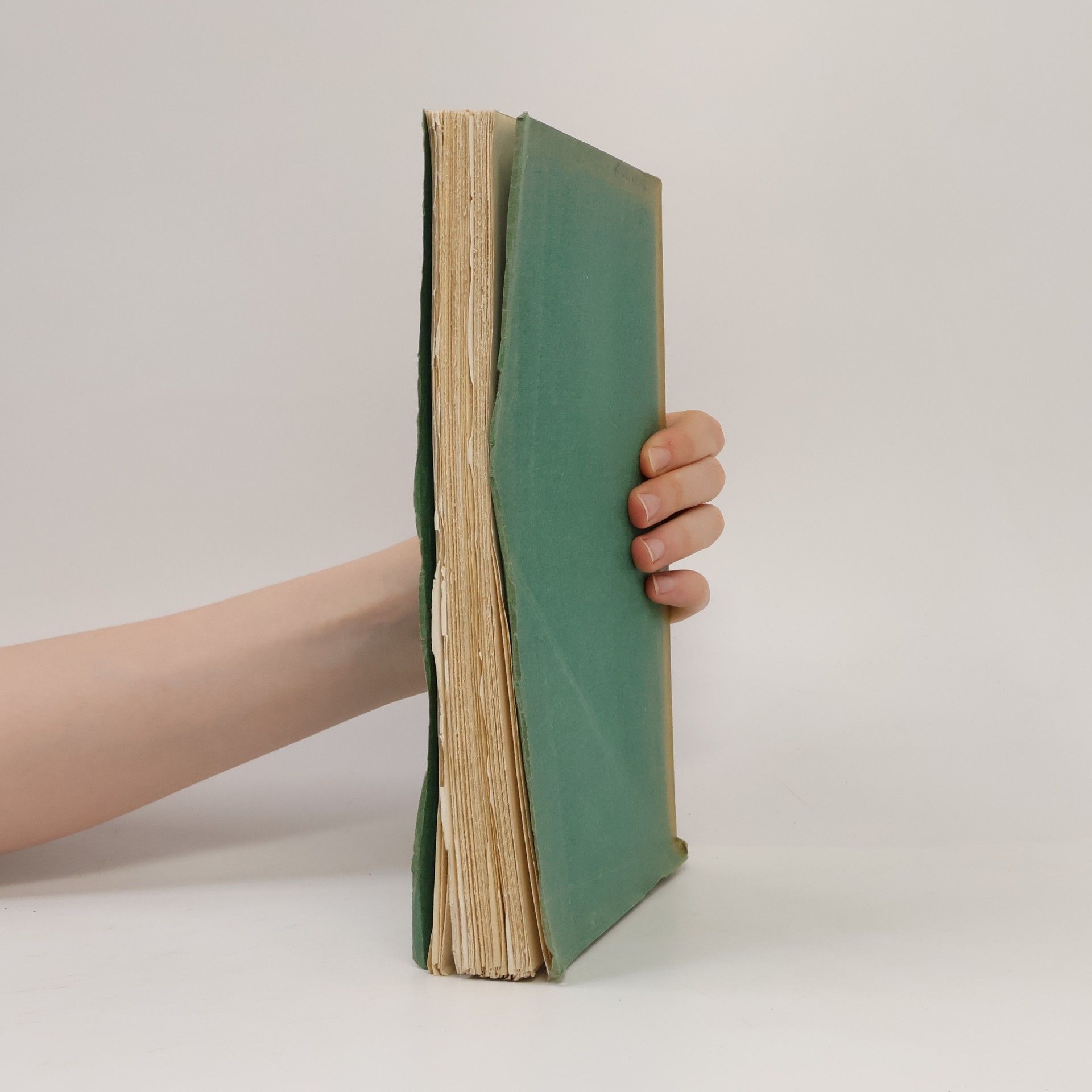 Autorenkollektiv Neue Österreichische Biographie 1815–1918