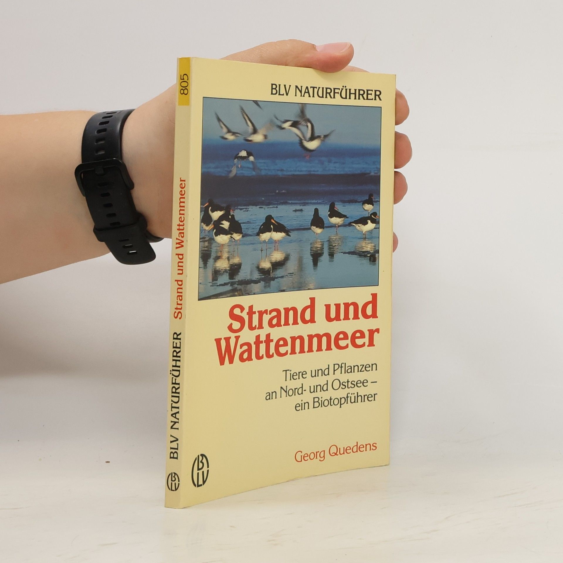 Georg Quedens Strand und Wattenmeer