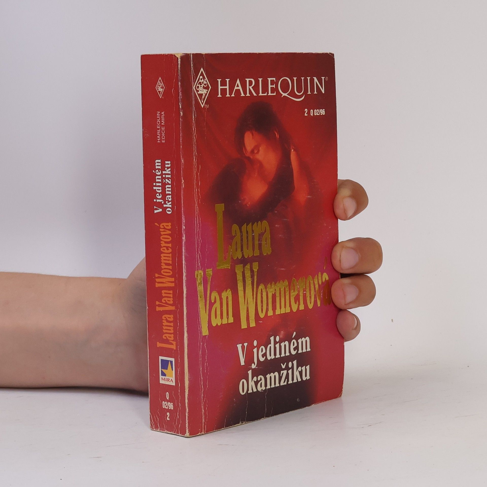 Laura van Wormer V jediném okamžiku