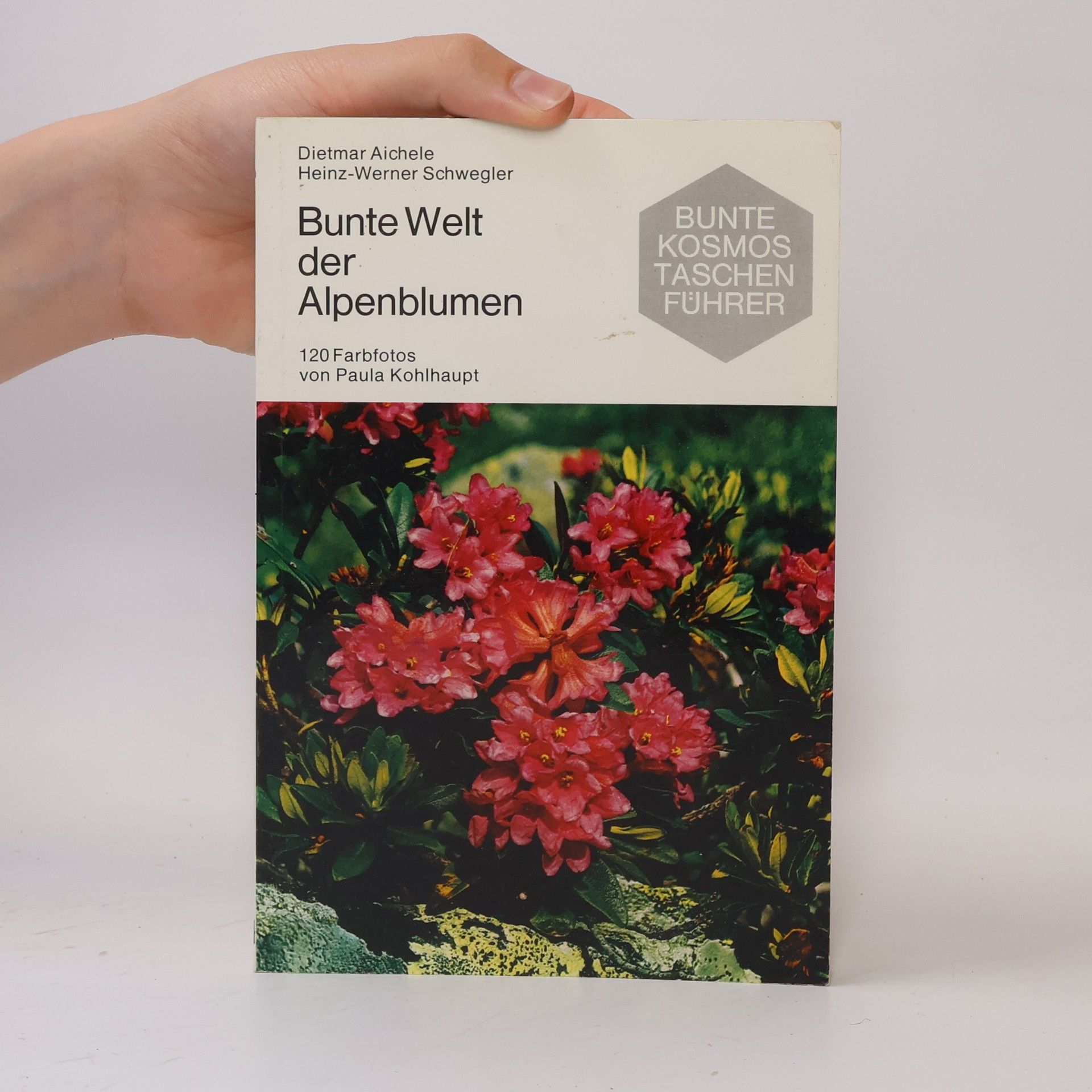 Dietmar Aichele Bunte Welt der Alpenblumen
