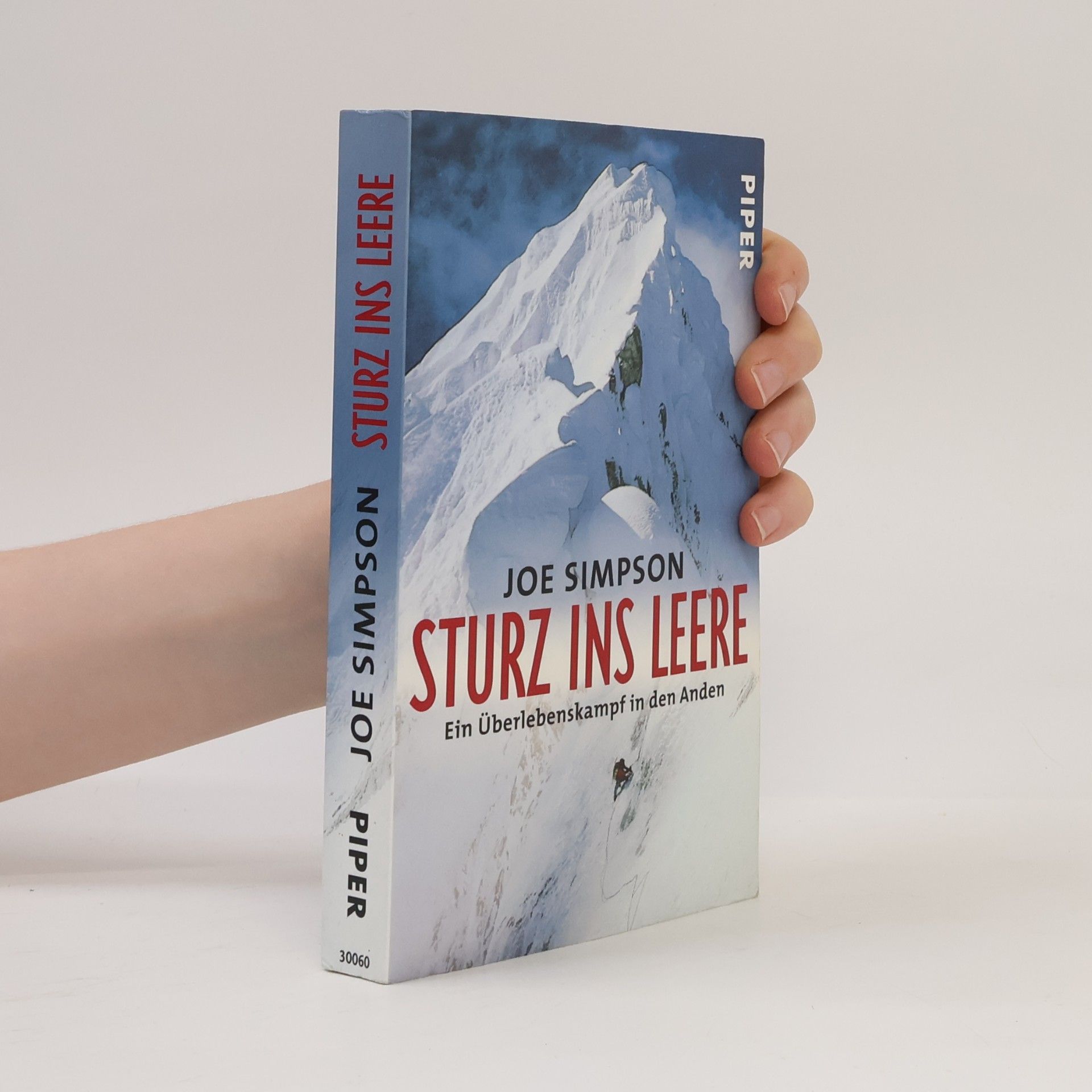Edigna Hackelsberger Sturz ins Leere