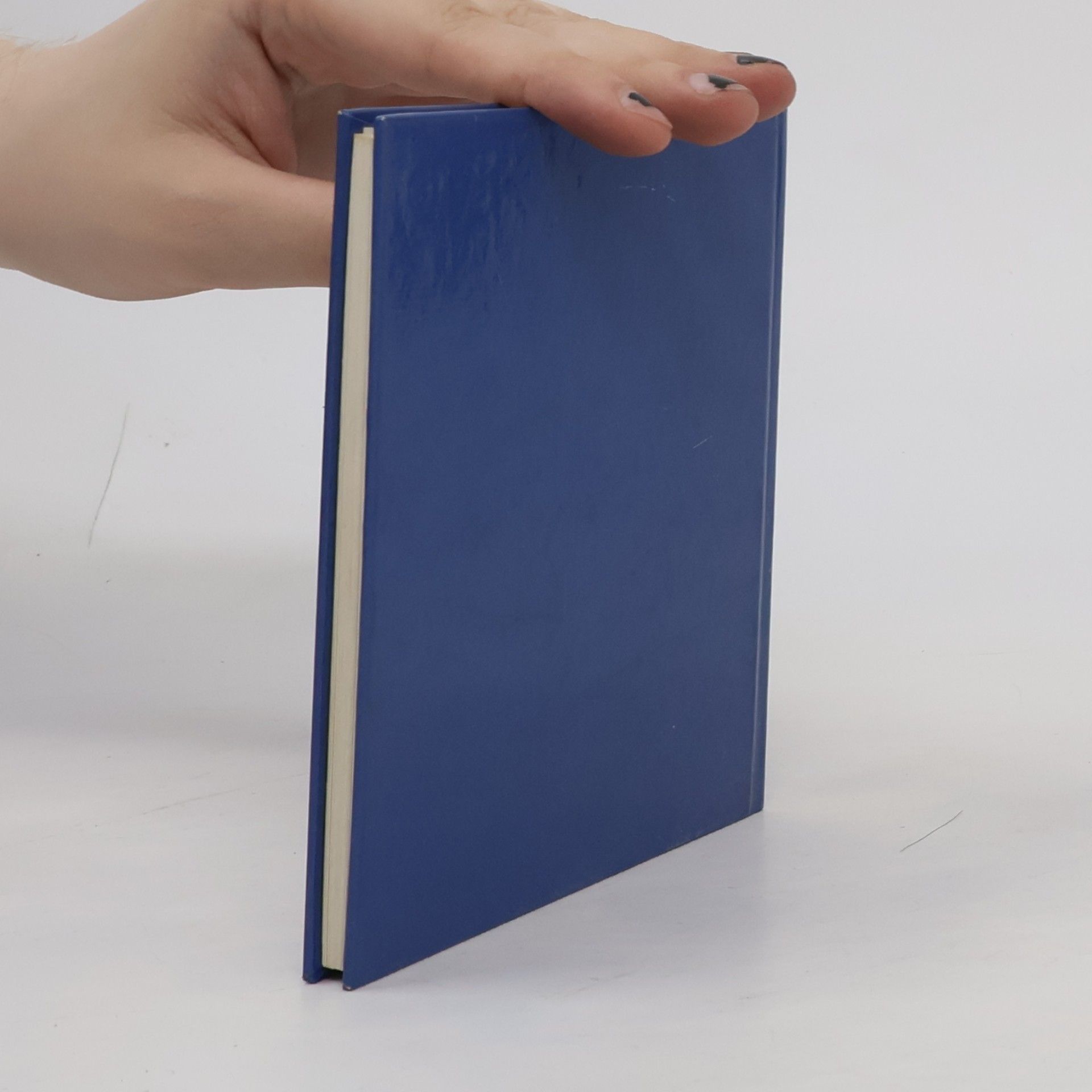 Bernhard Oberdieck Das kleine Buch der Stille