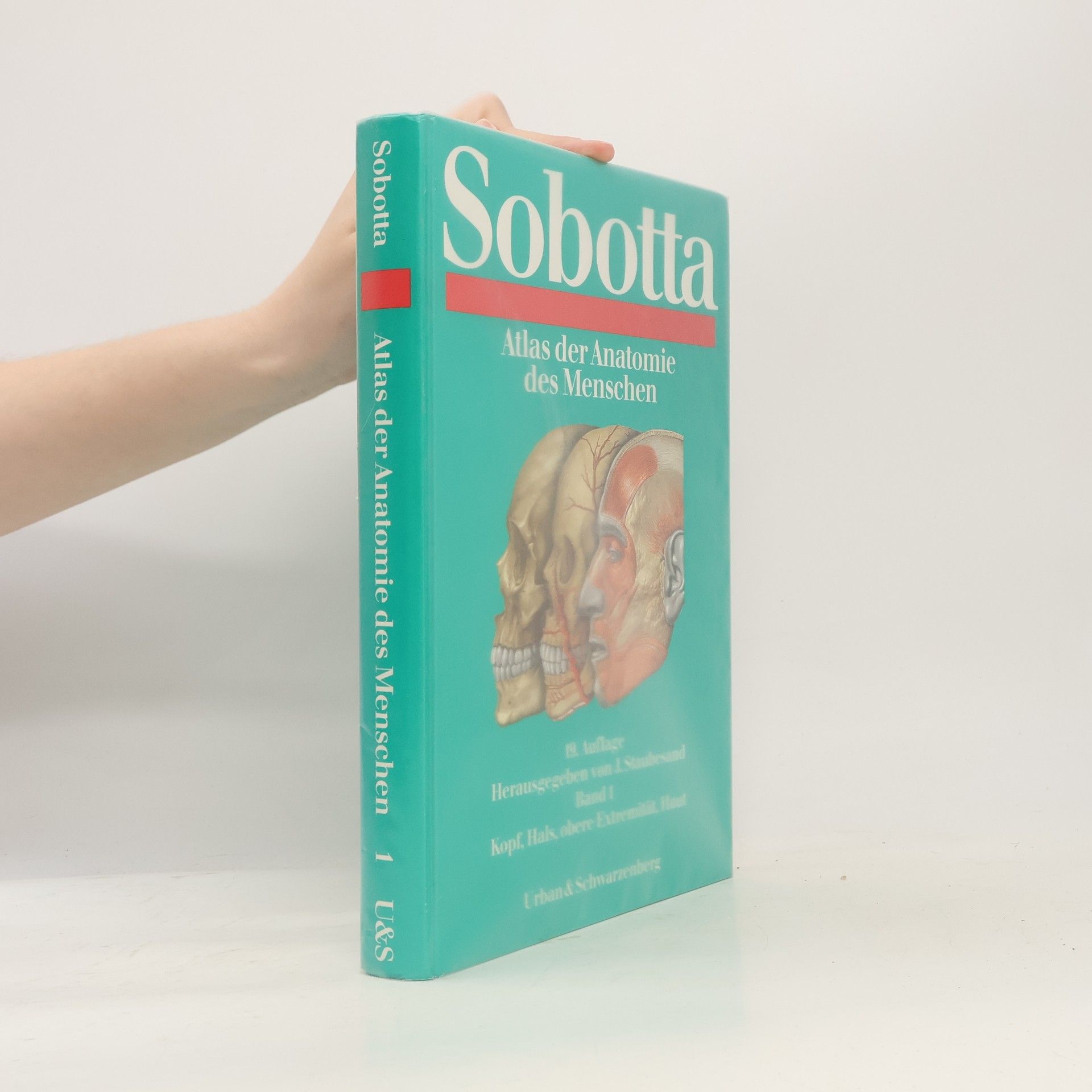 Atlas der Anatomie des Menschen
