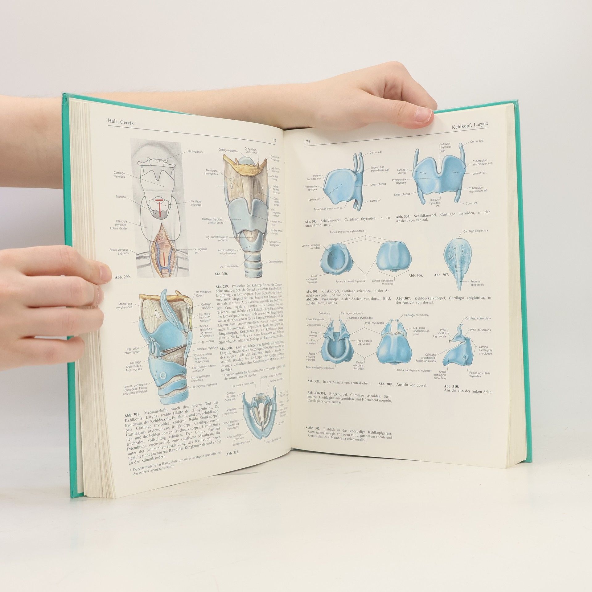 Johannes Sobotta Atlas der Anatomie des Menschen