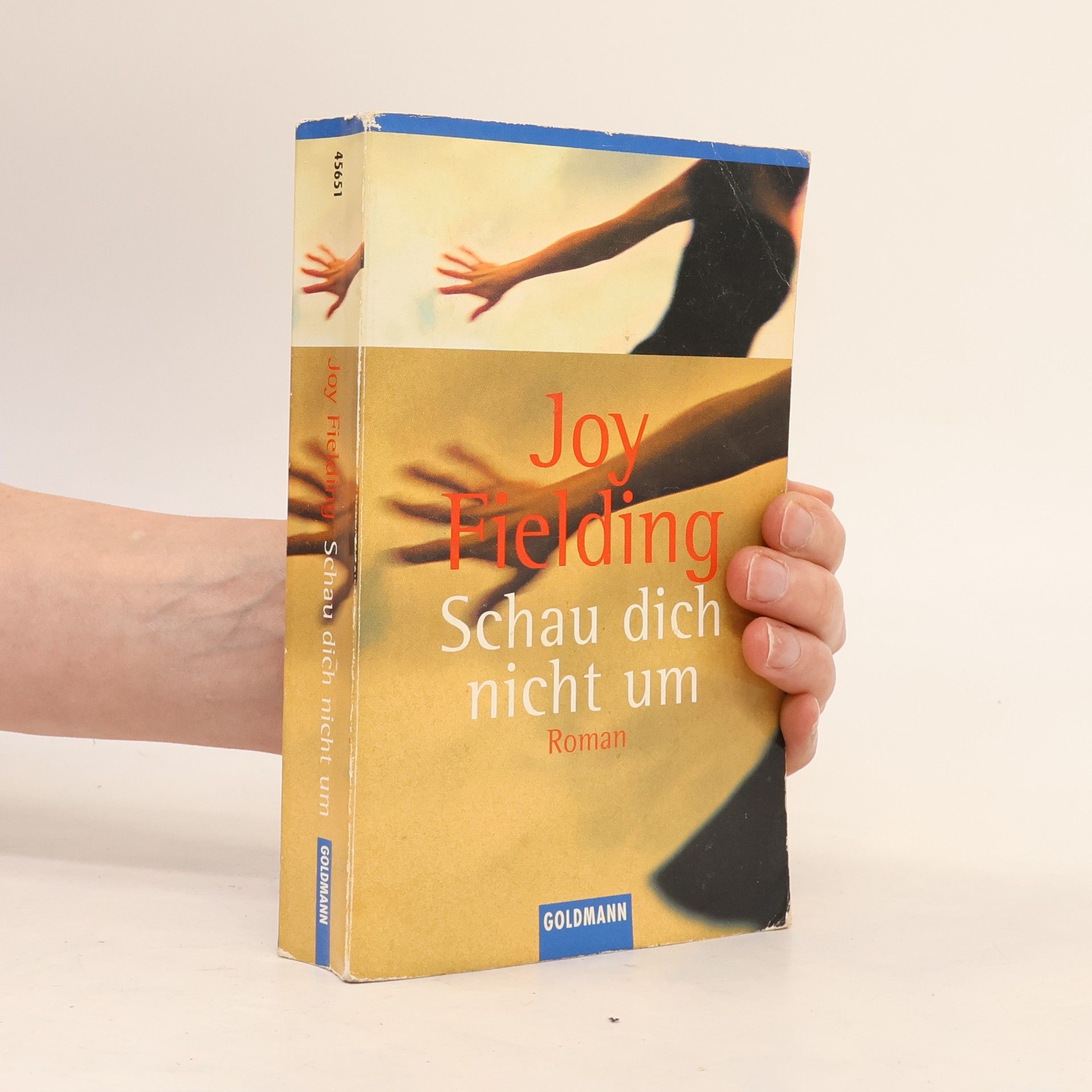 Joy Fielding Schau dich nicht um