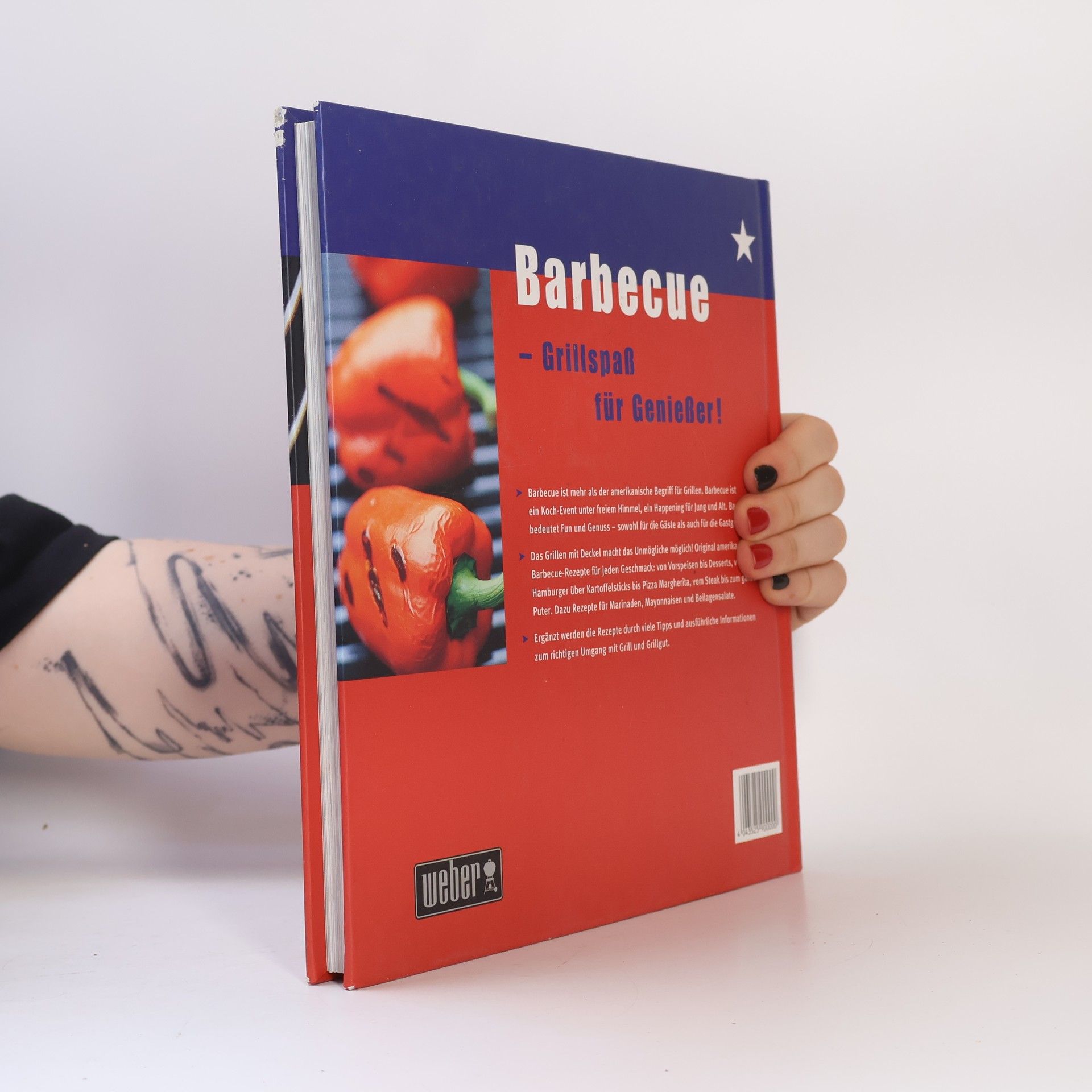 Matthew Drennan Das Barbecue Buch