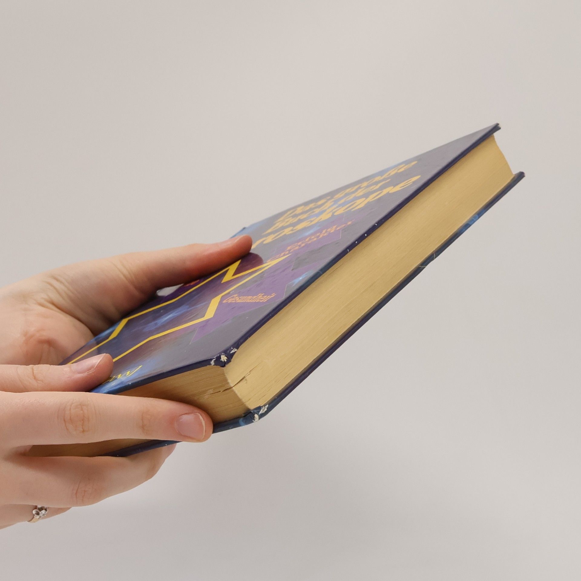 Erika Sauer Das grosse Buch der Horoskope