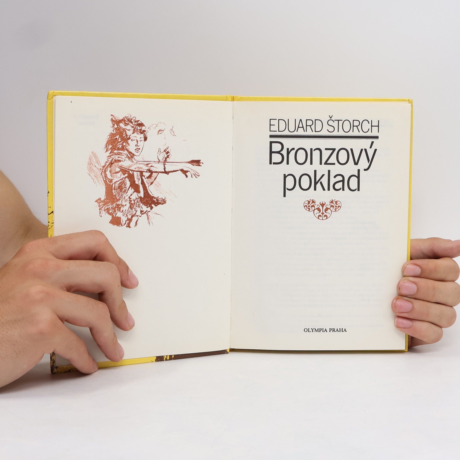 Eduard Štorch Bronzový poklad