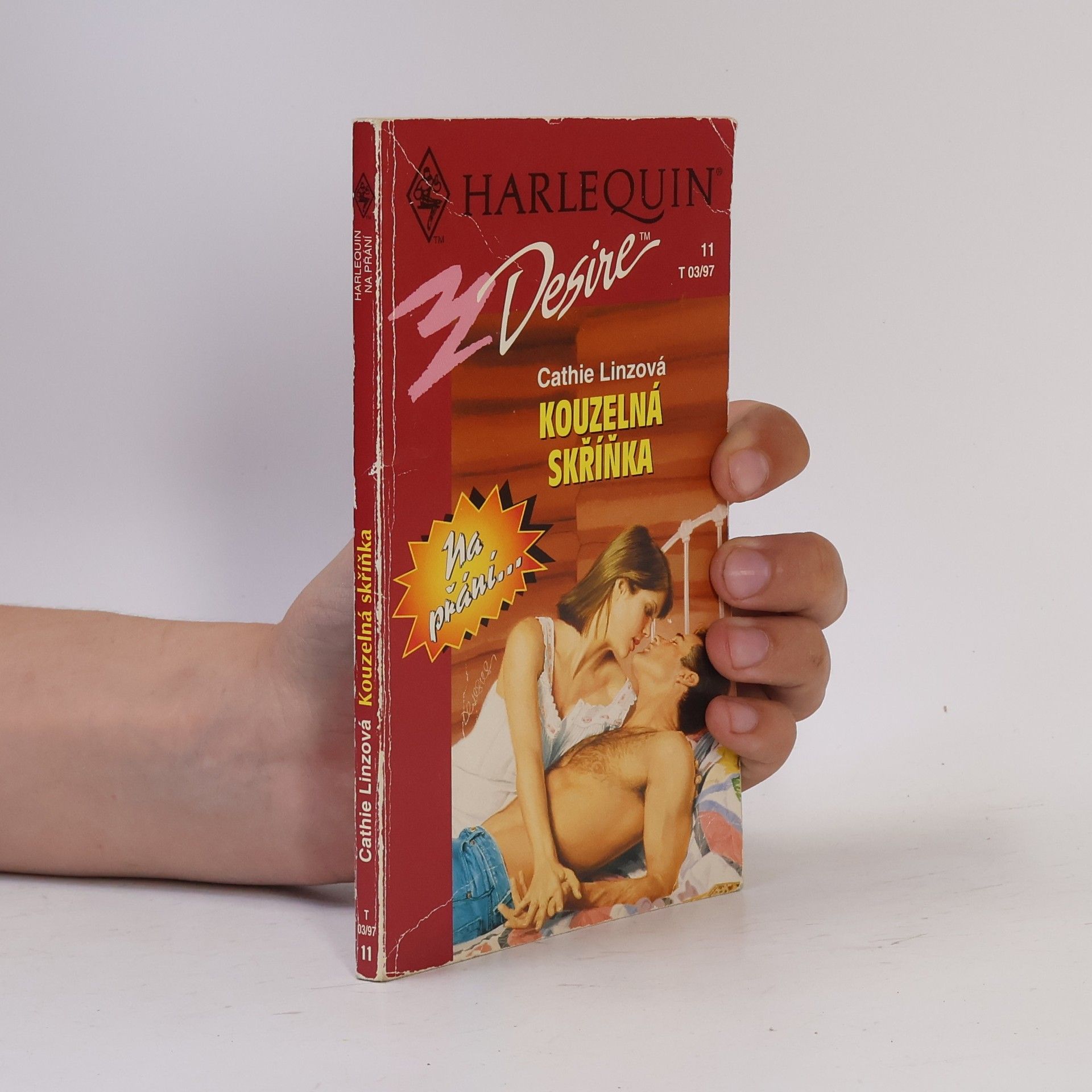 Cathie Linz Kouzelná skříňka