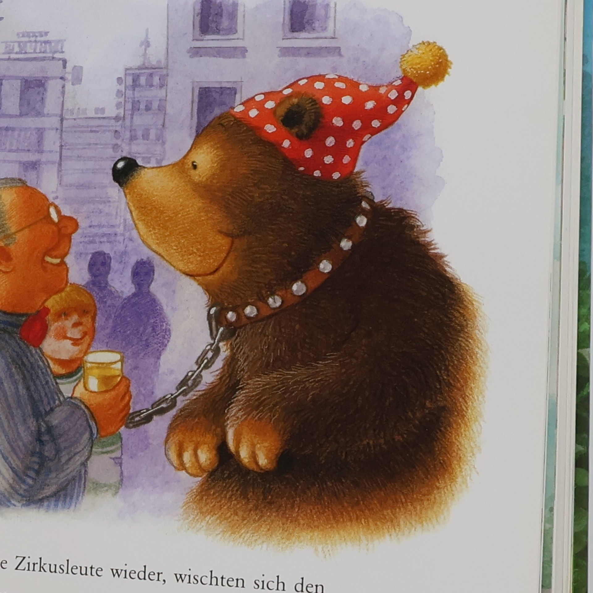 Nicola Dröge Das dicke Bärenbuch