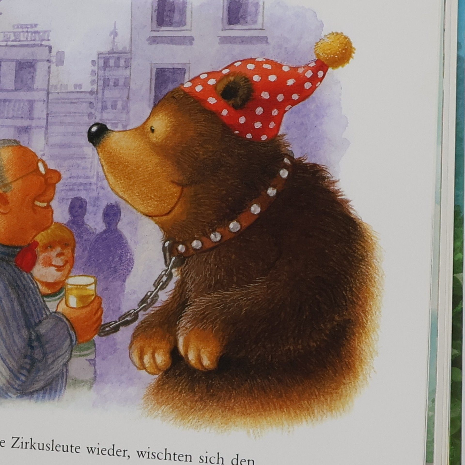 Nicola Dröge Das dicke Bärenbuch