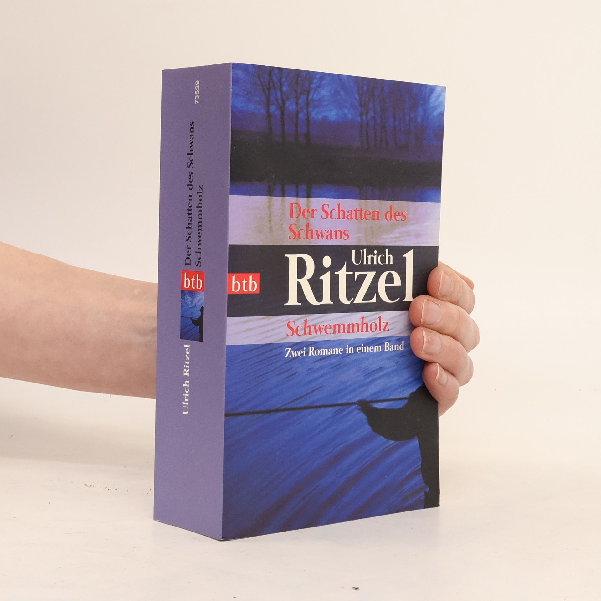 Ulrich Ritzel Der Schatten des Schwans
