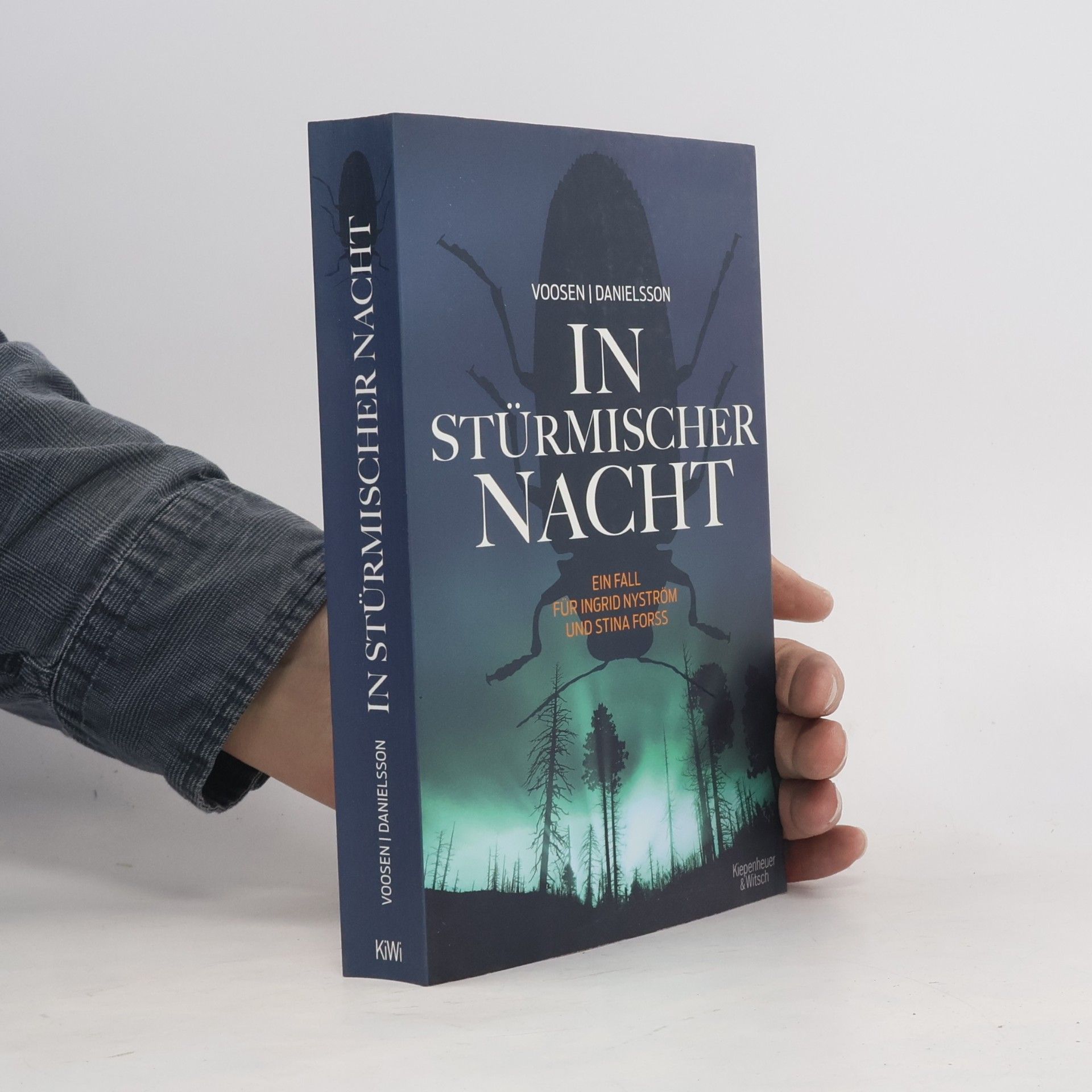 Roman Voosen In stürmischer Nacht