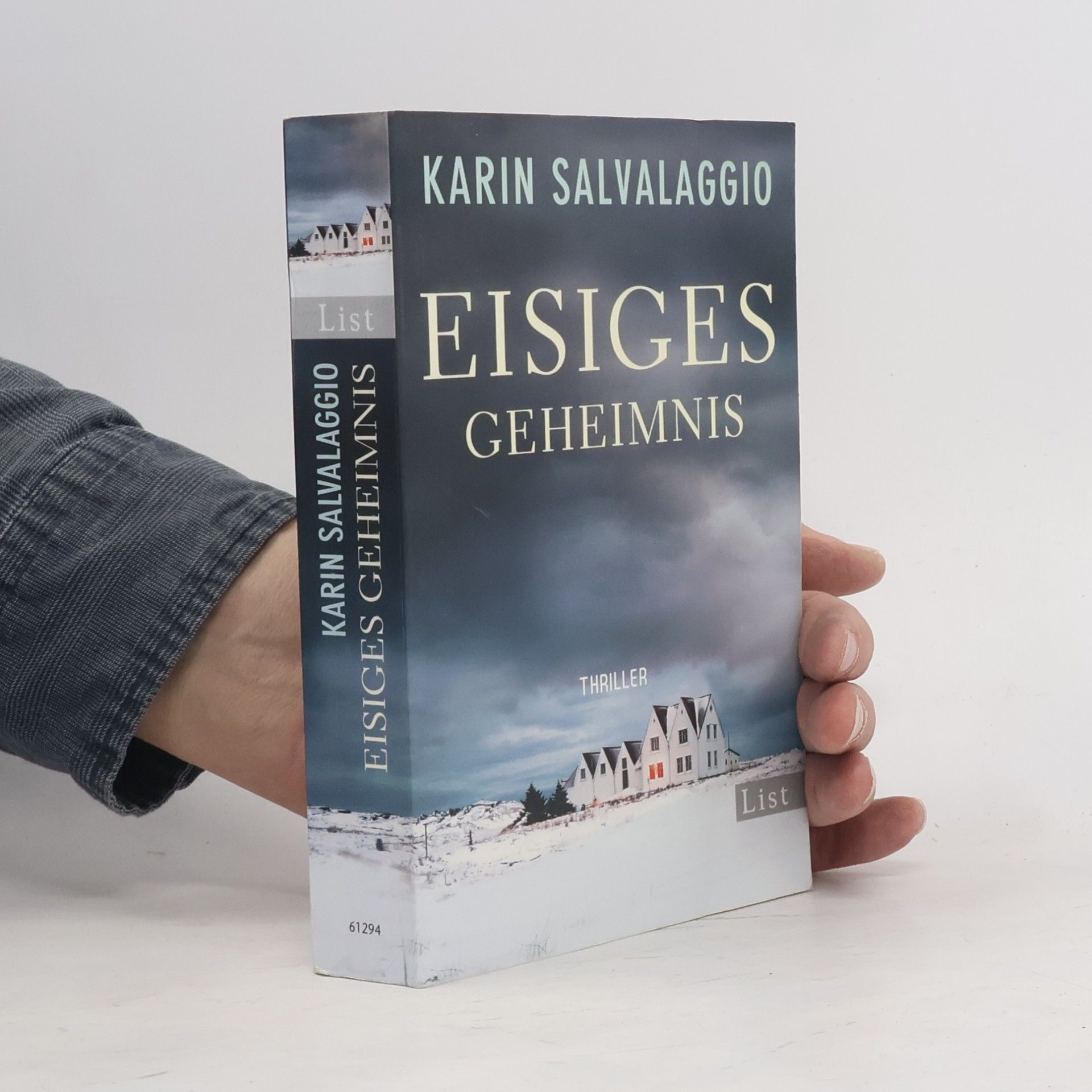 Karin Salvalaggio Eisiges Geheimnis
