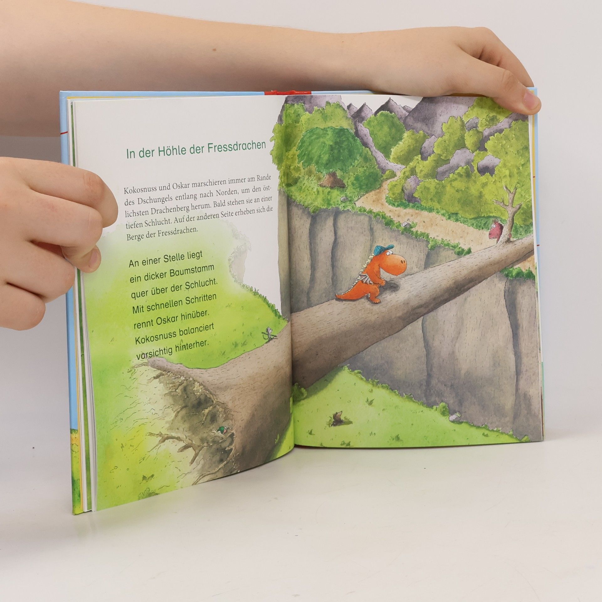Ingo Siegner Der kleine Drache Kokosnuss kommt in die Schule