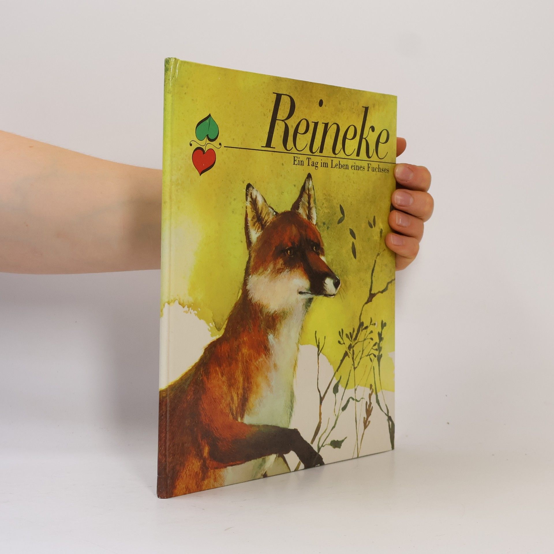 Autorenkollektiv Reineke: Ein Tag im Leben eines Fuchses