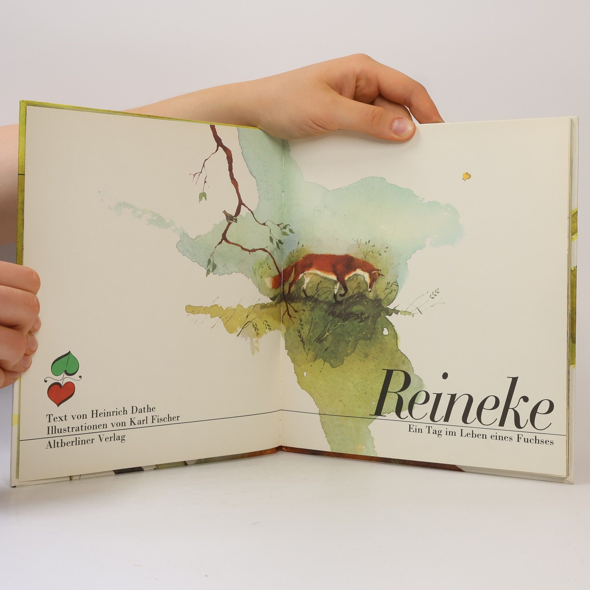 Autorenkollektiv Reineke: Ein Tag im Leben eines Fuchses