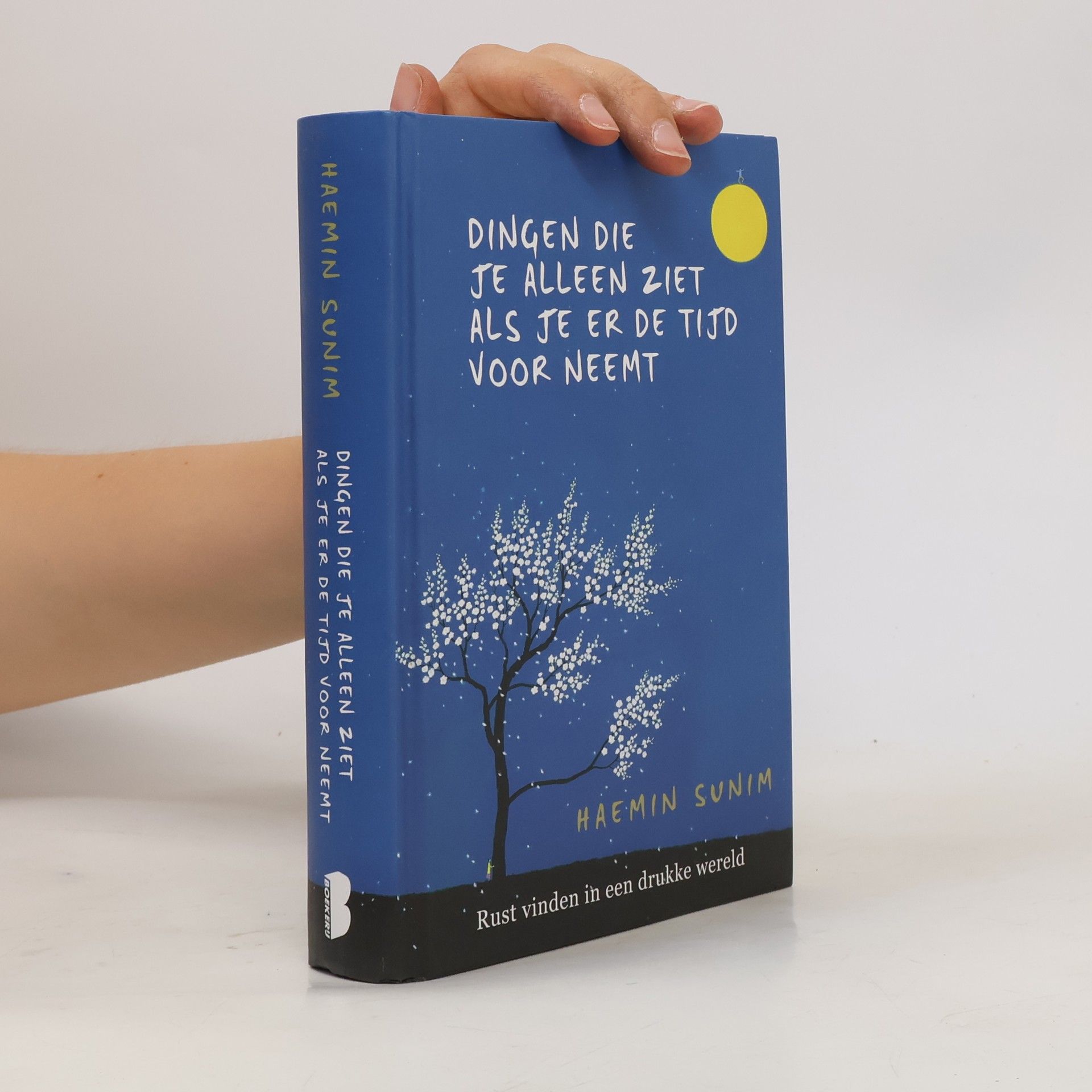 Sunim Haemin Dingen die je alleen ziet als je er de tijd voor neemt