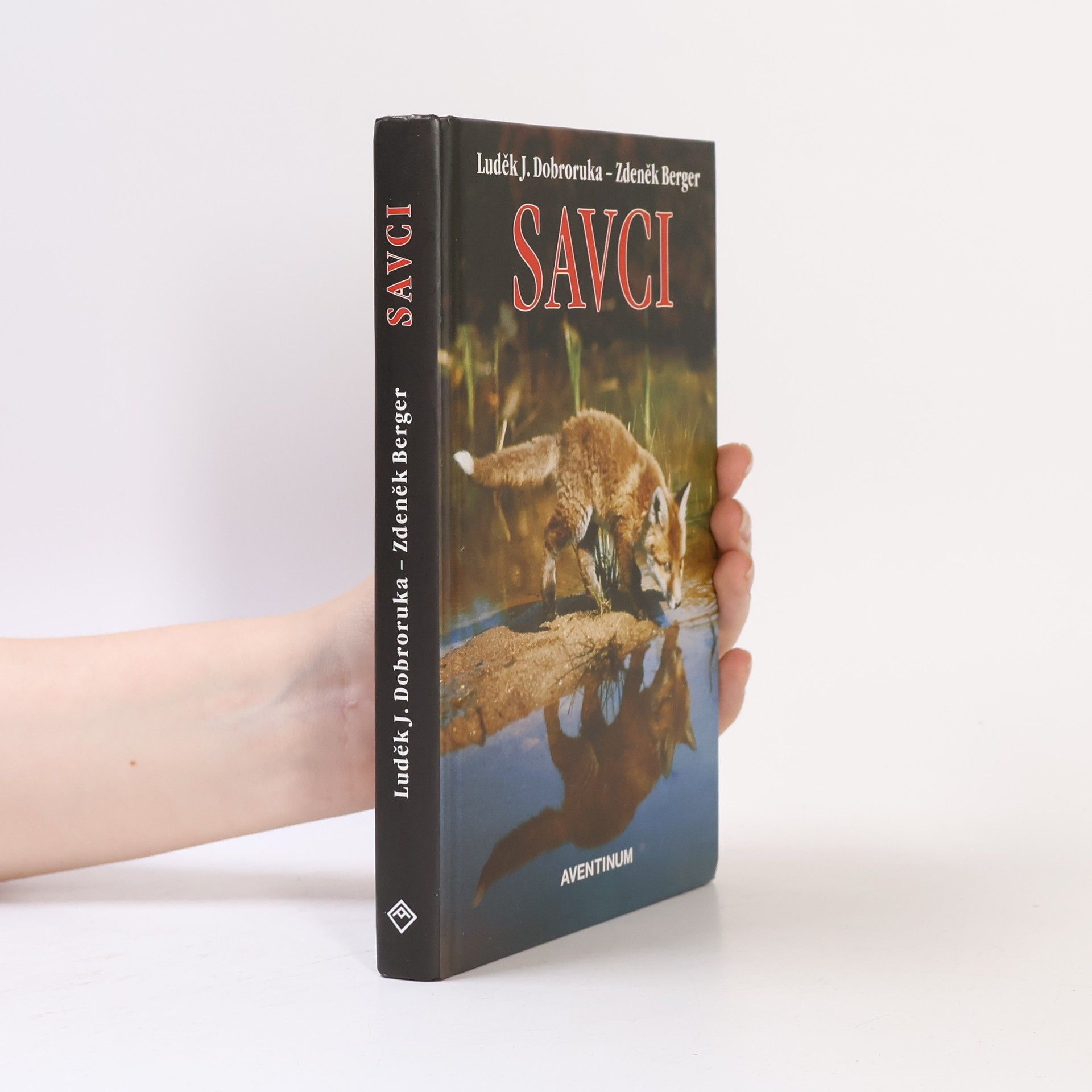 Savci
