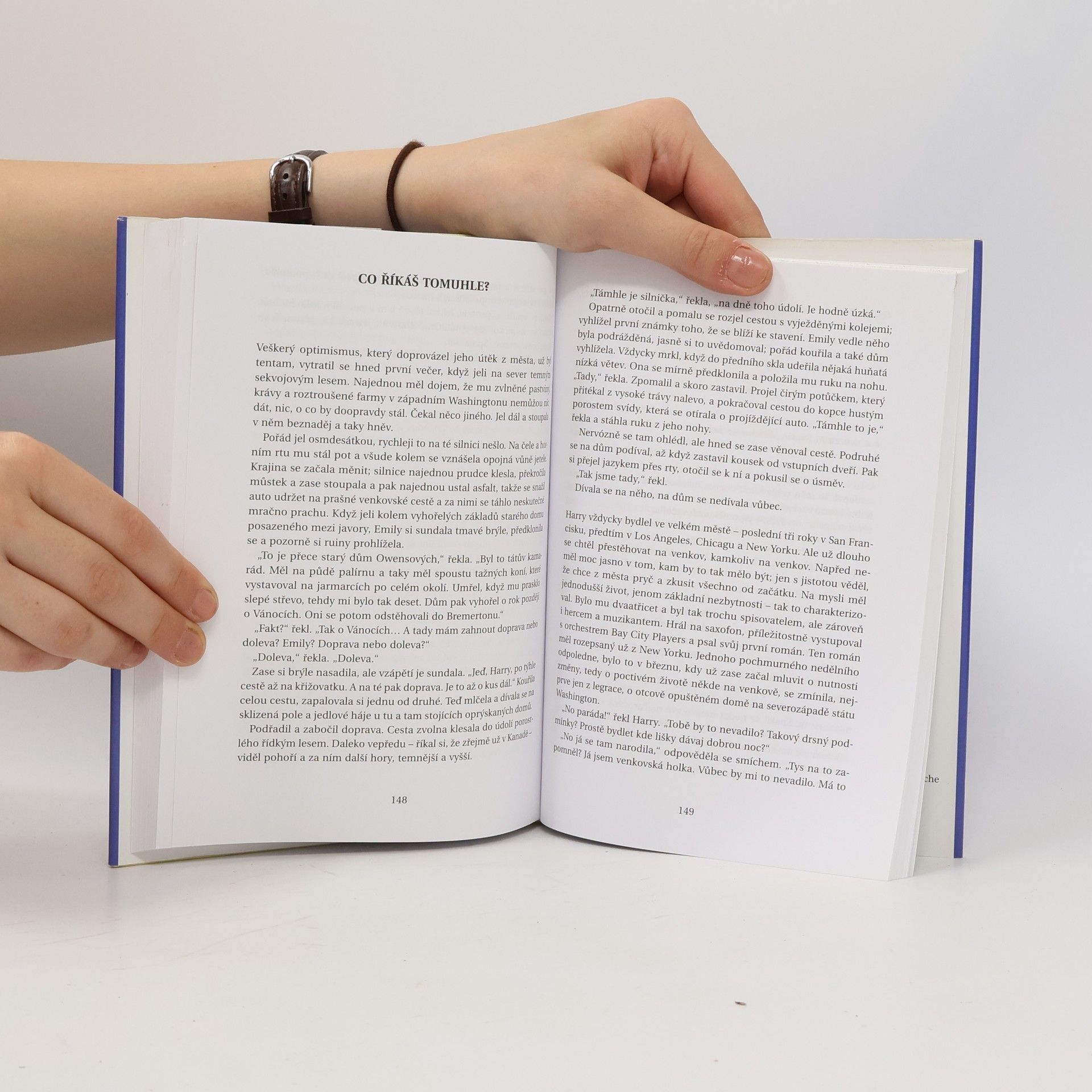 Raymond Carver Buď už, prosím tě, zticha