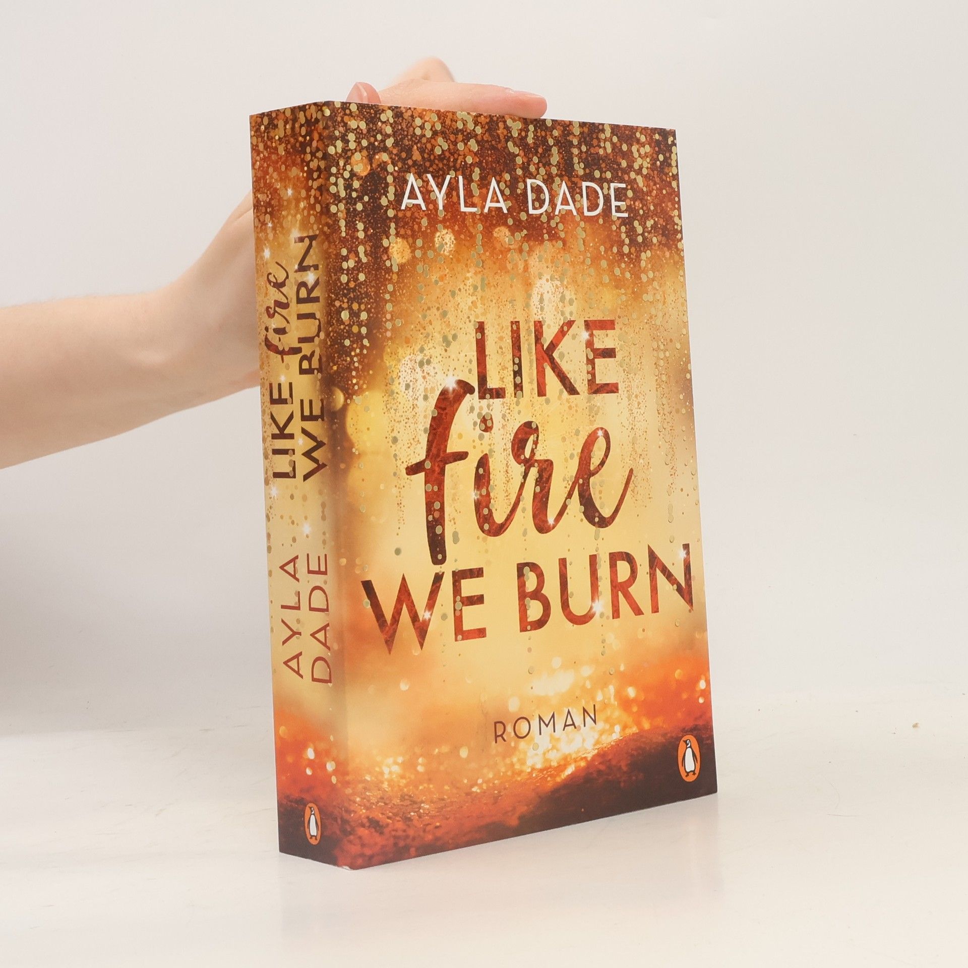 Ayla Dade Like Fire We Burn