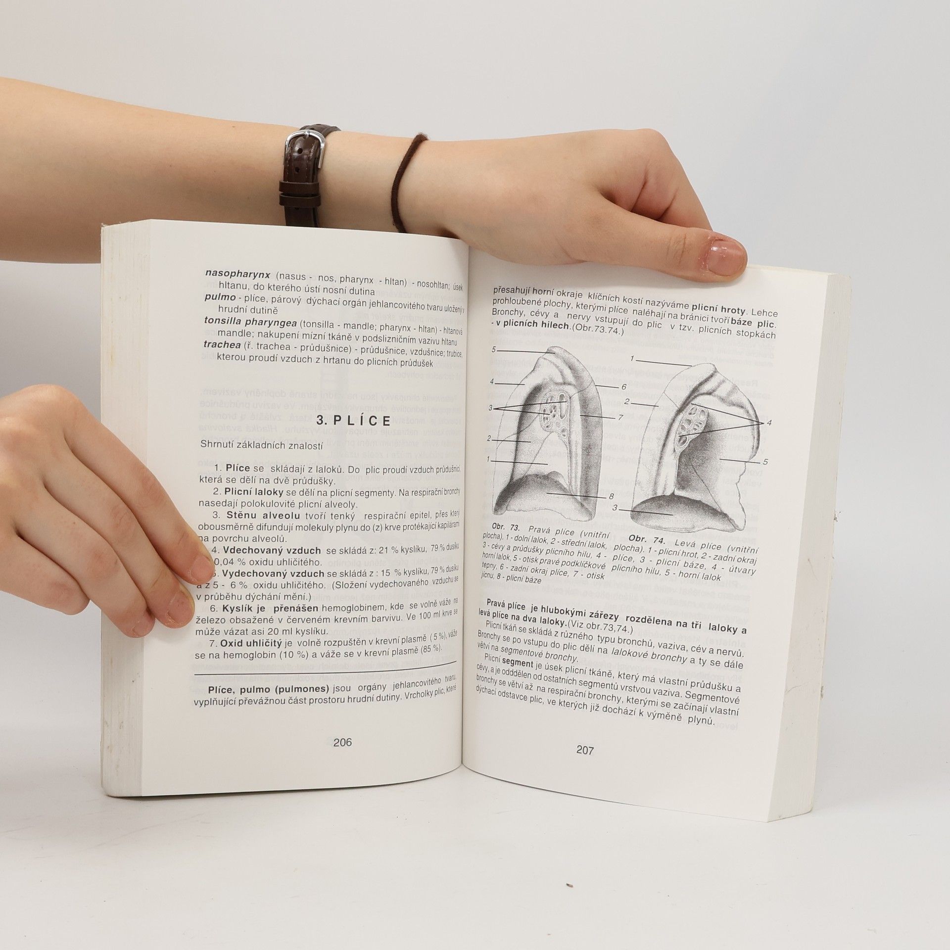 Ivan Dylevský Anatomie a fyziologie člověka