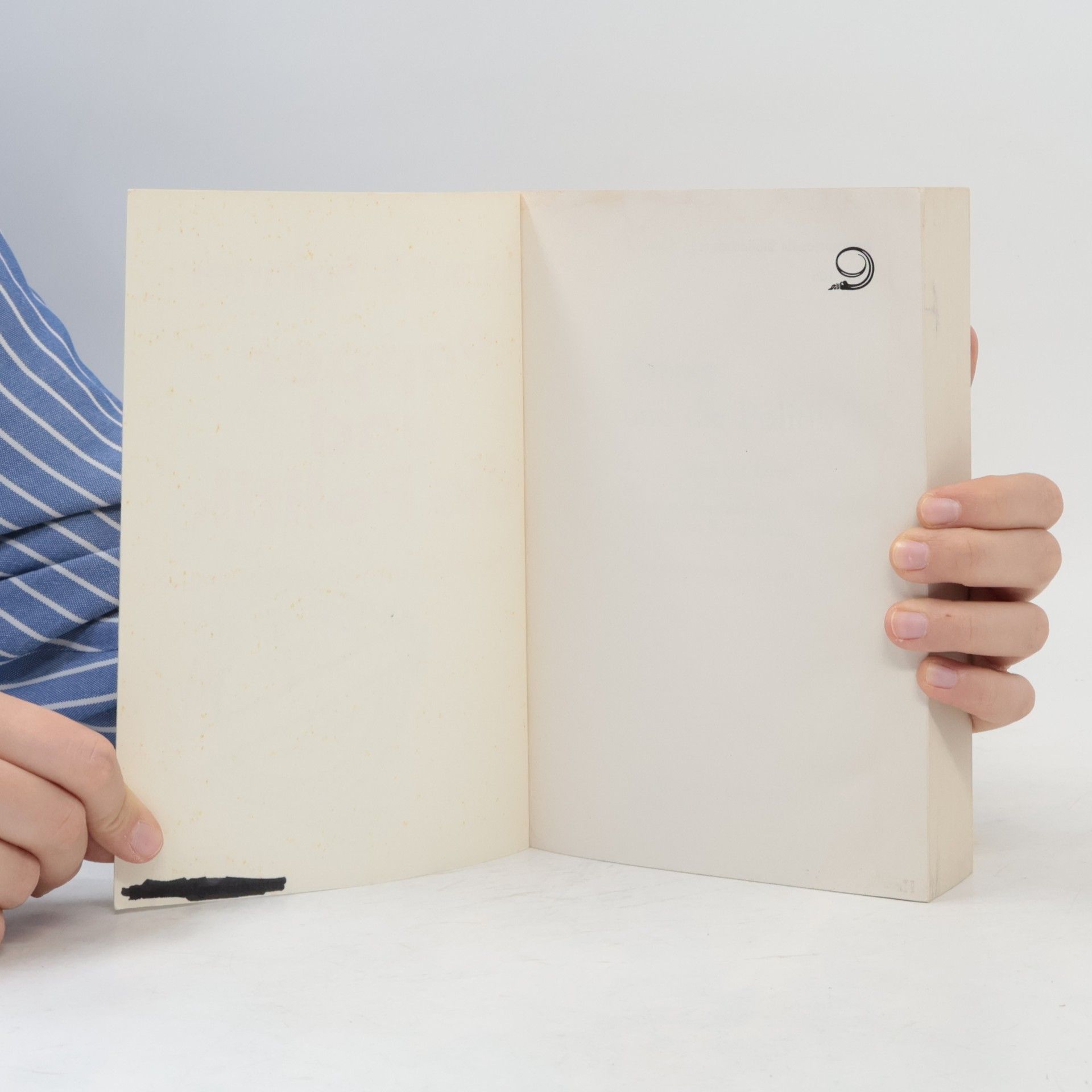 Helmut F. Spinner Internationale Bibliothek - 1: Popper und die Politik