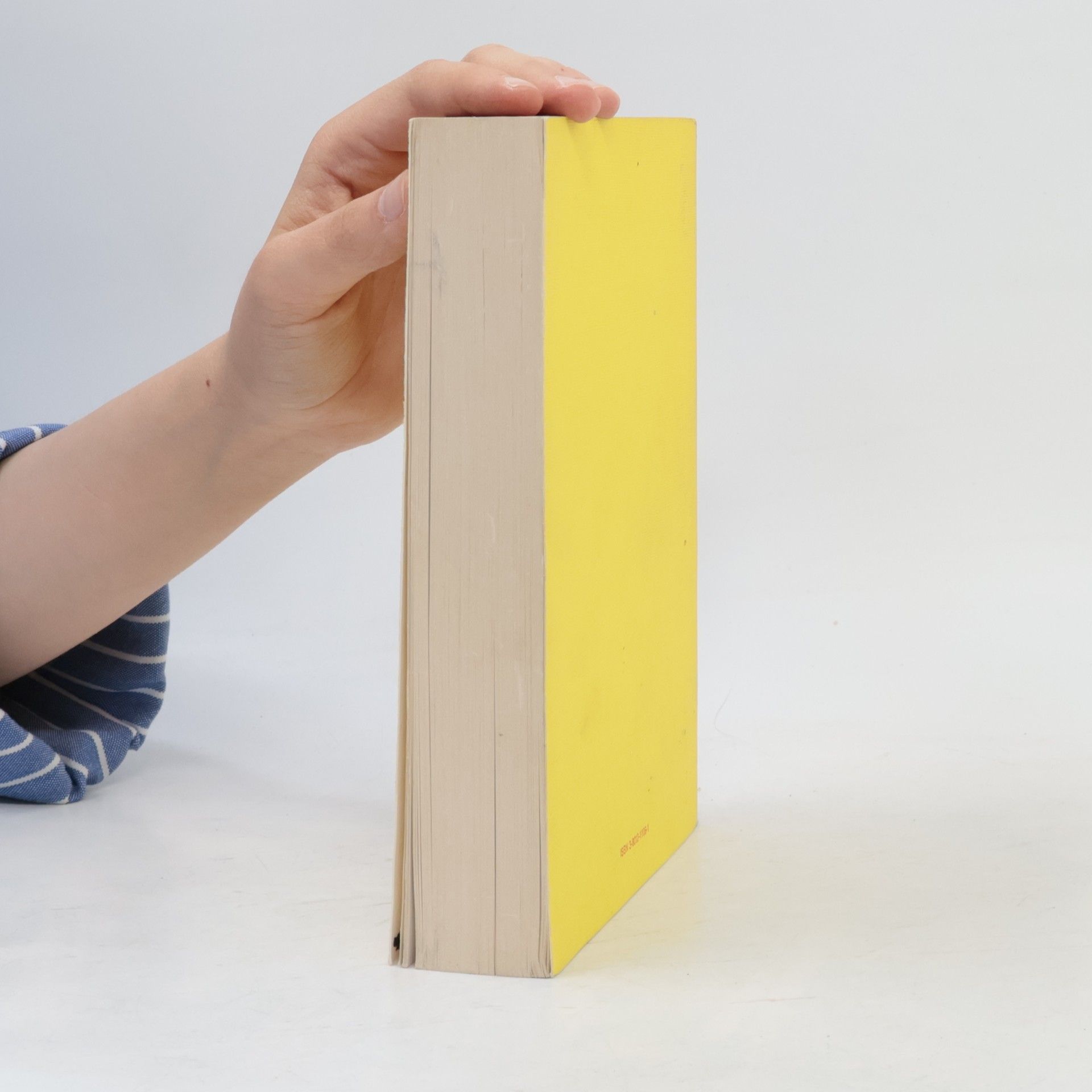 Helmut F. Spinner Internationale Bibliothek - 1: Popper und die Politik