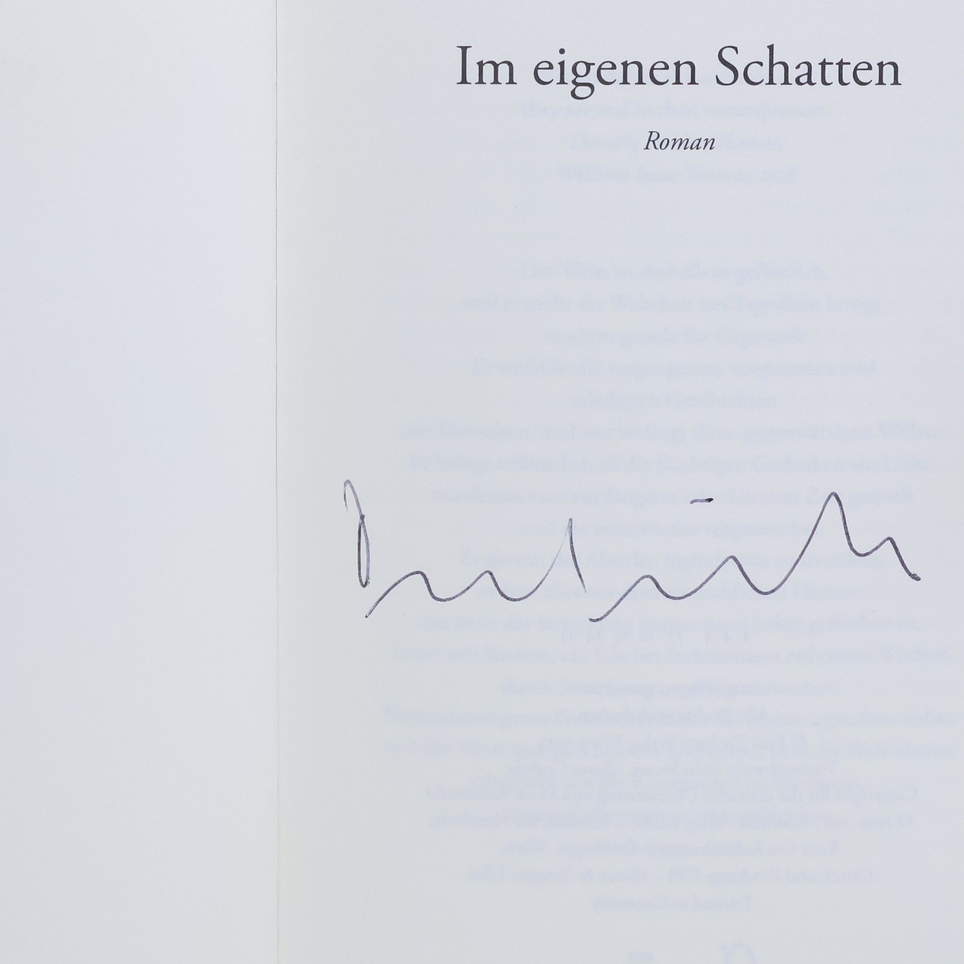 Veit Heinichen Im eigenen Schatten