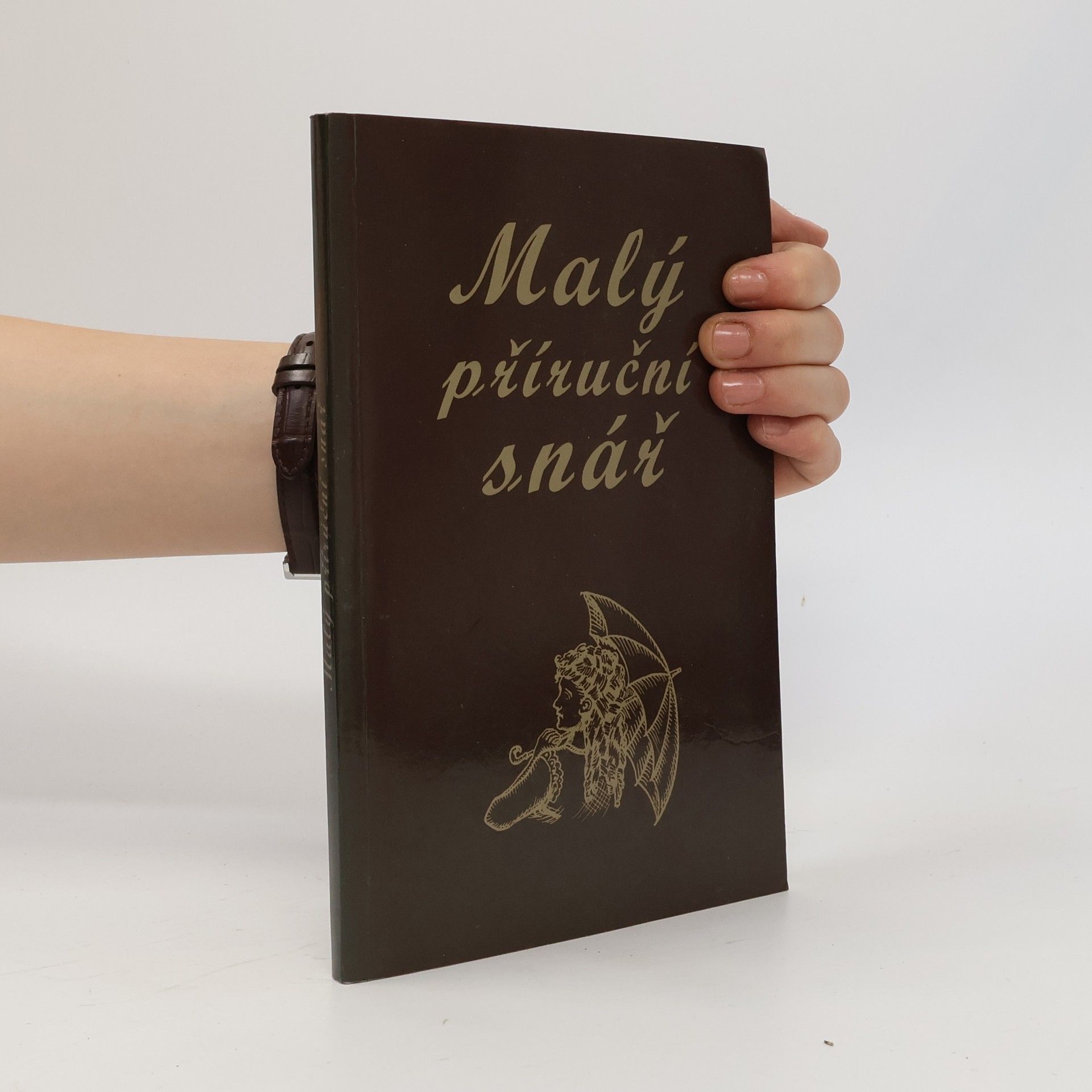 Collectif d'auteurs Malý příruční snář