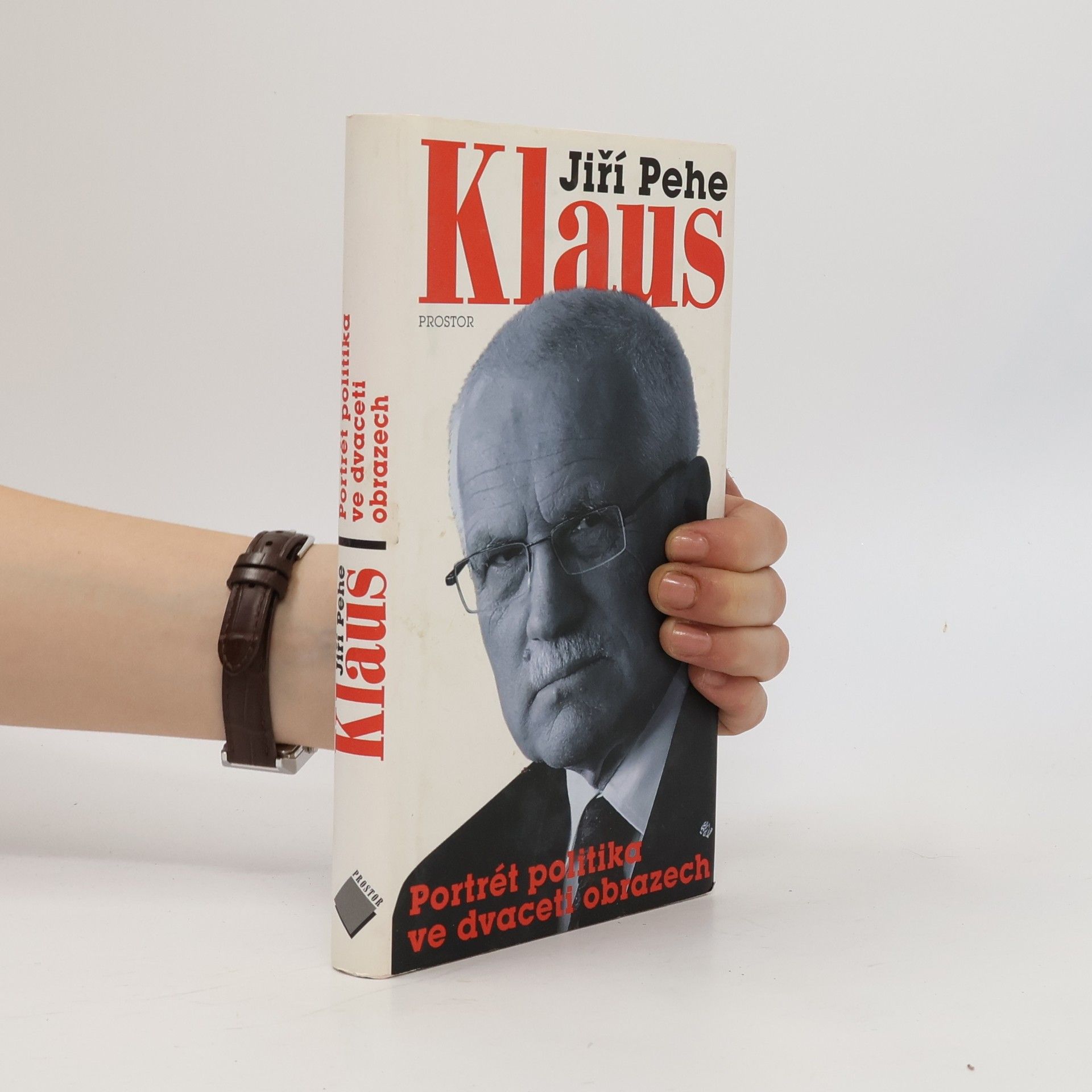 Jiří Pehe Klaus: Portrét politika ve dvaceti obrazech