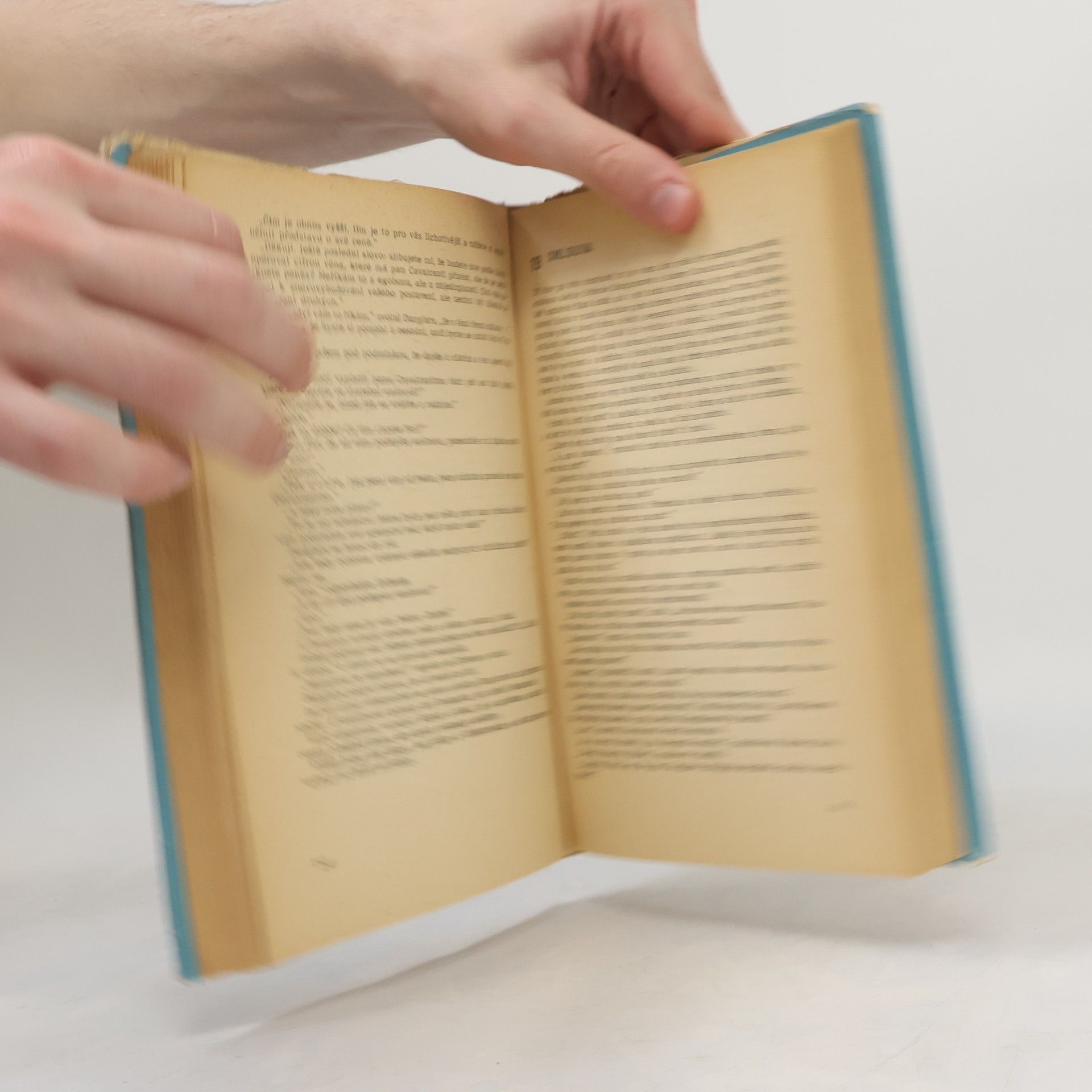 Alexandre Dumas der Ältere Hrabě Monte Cristo 3 - 5. a 6. díl
