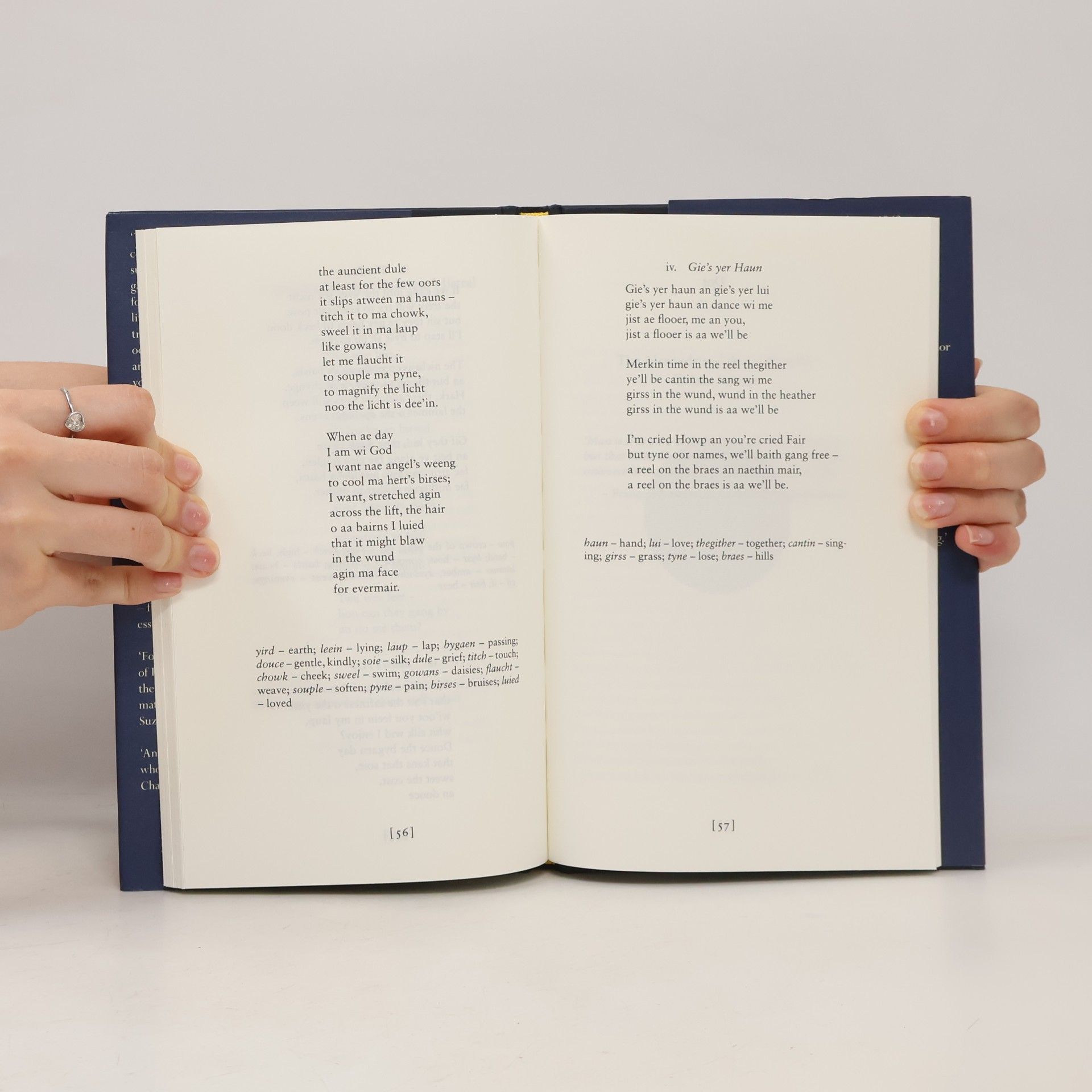 Don Paterson The Arctic