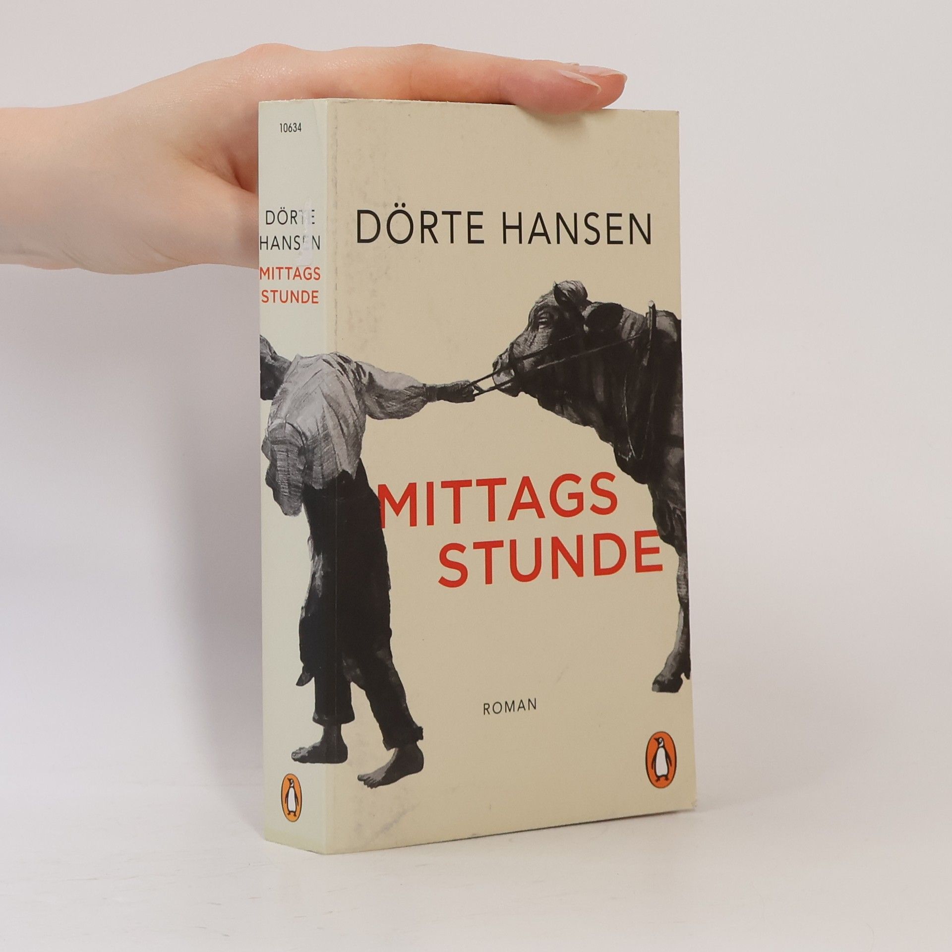 Dörte Hansen Mittagsstunde