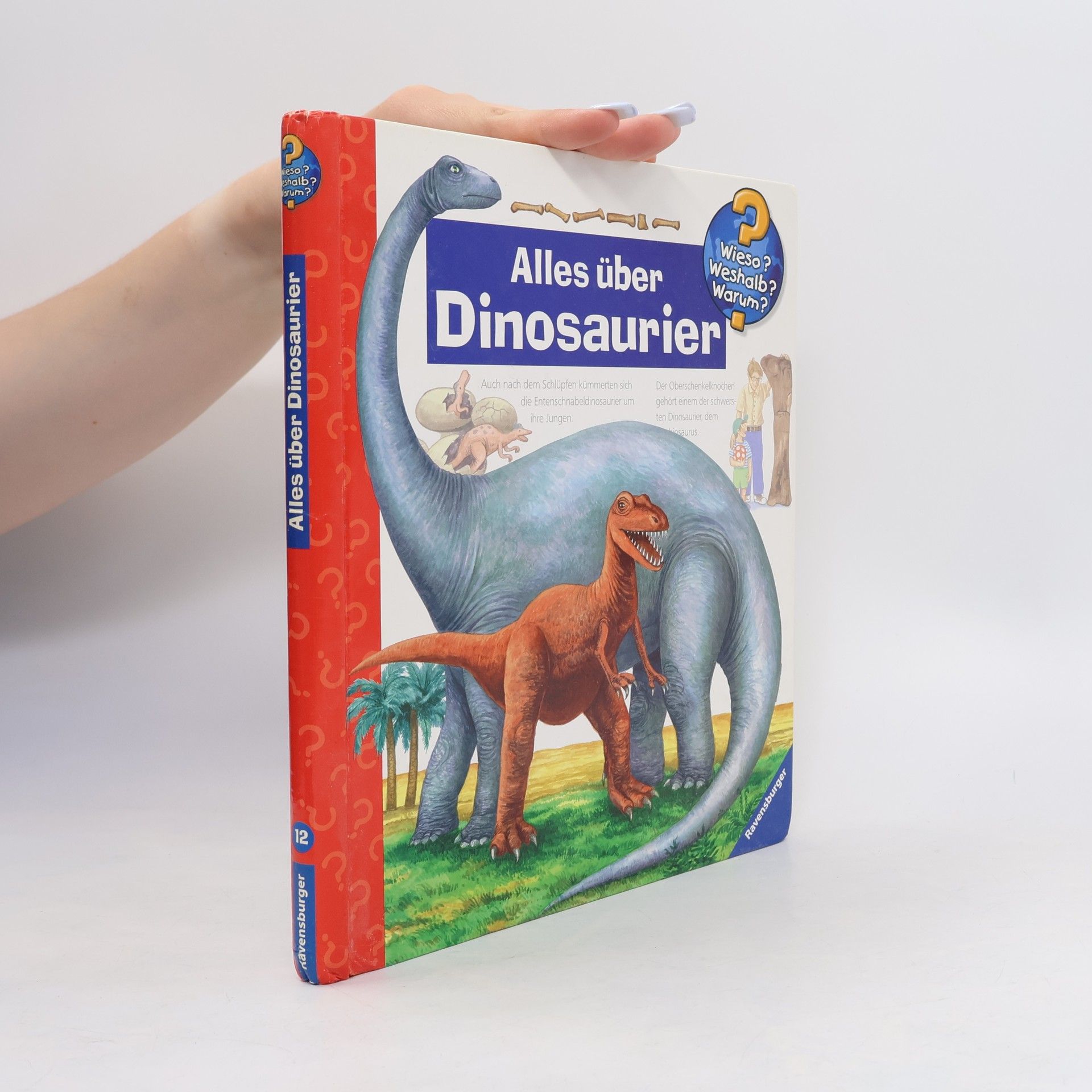 Patricia Mennen Alles über Dinosaurier