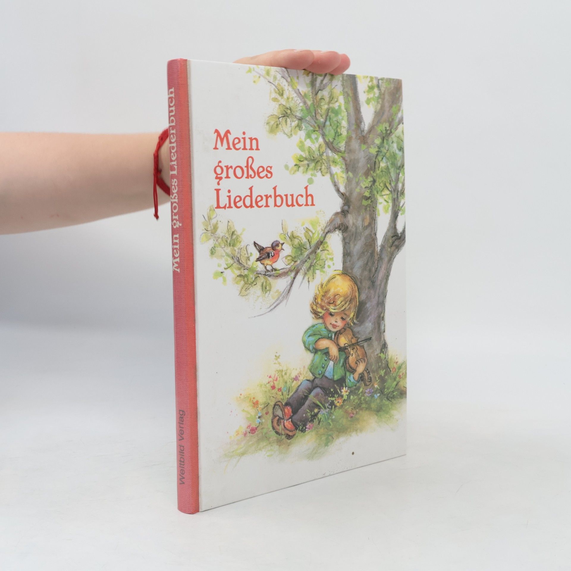 Lore Hummel Mein großes Liederbuch. Illustrationen Lore Hummel