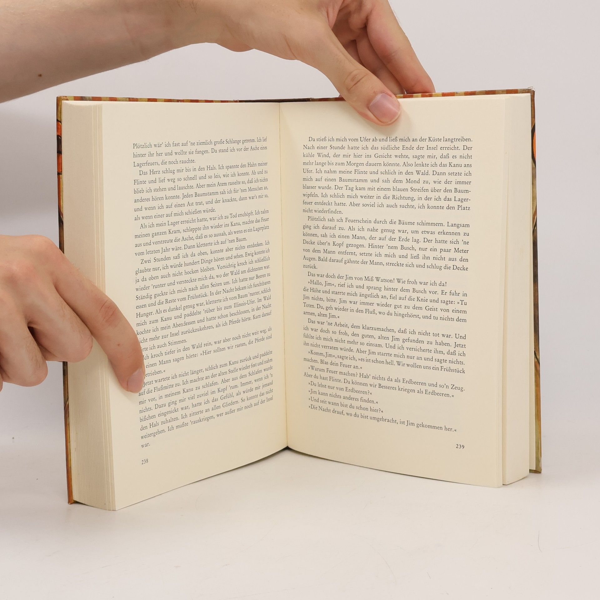 Mark Twain Tom Sawyer und Huckleberry Finn