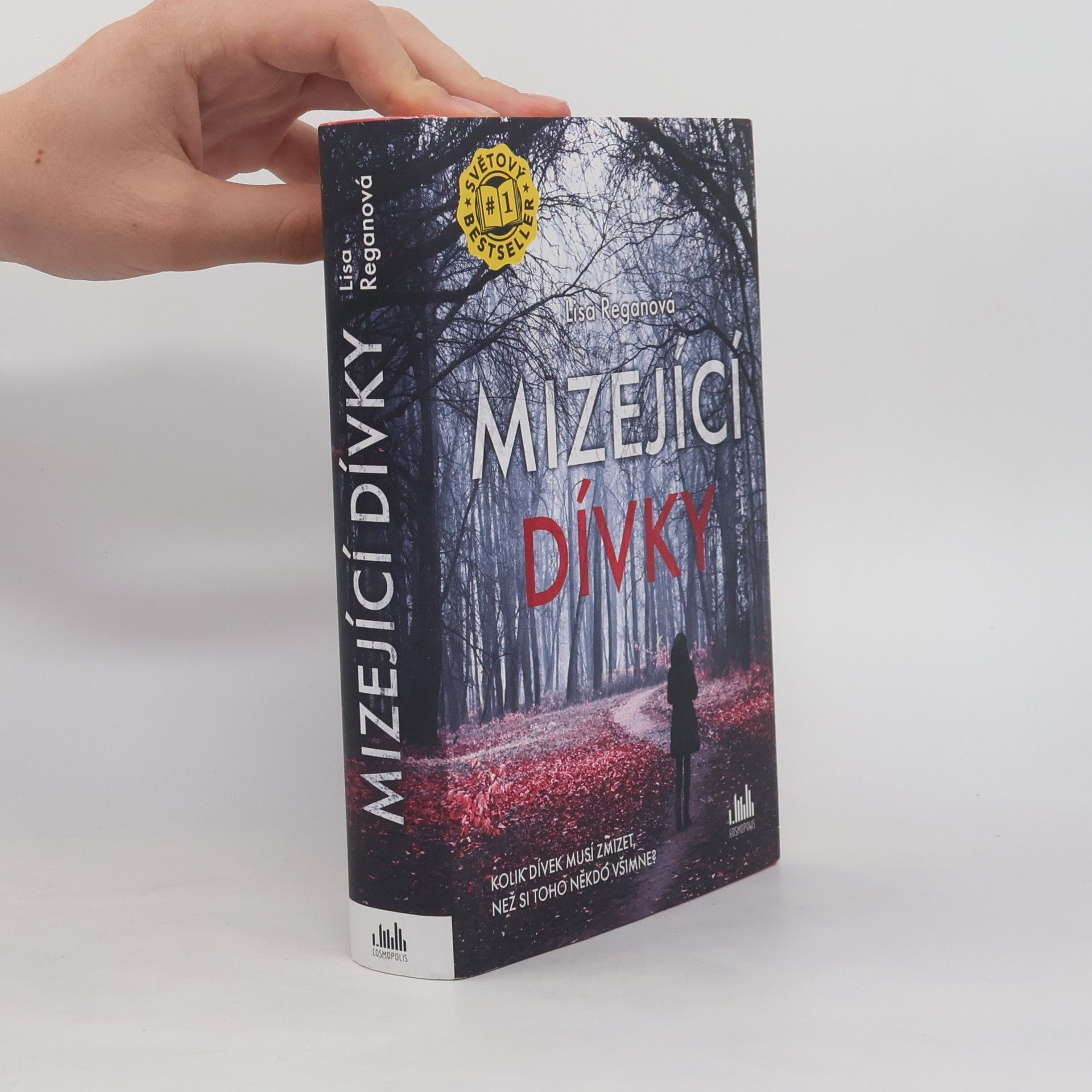 Lisa Regan Mizející dívky